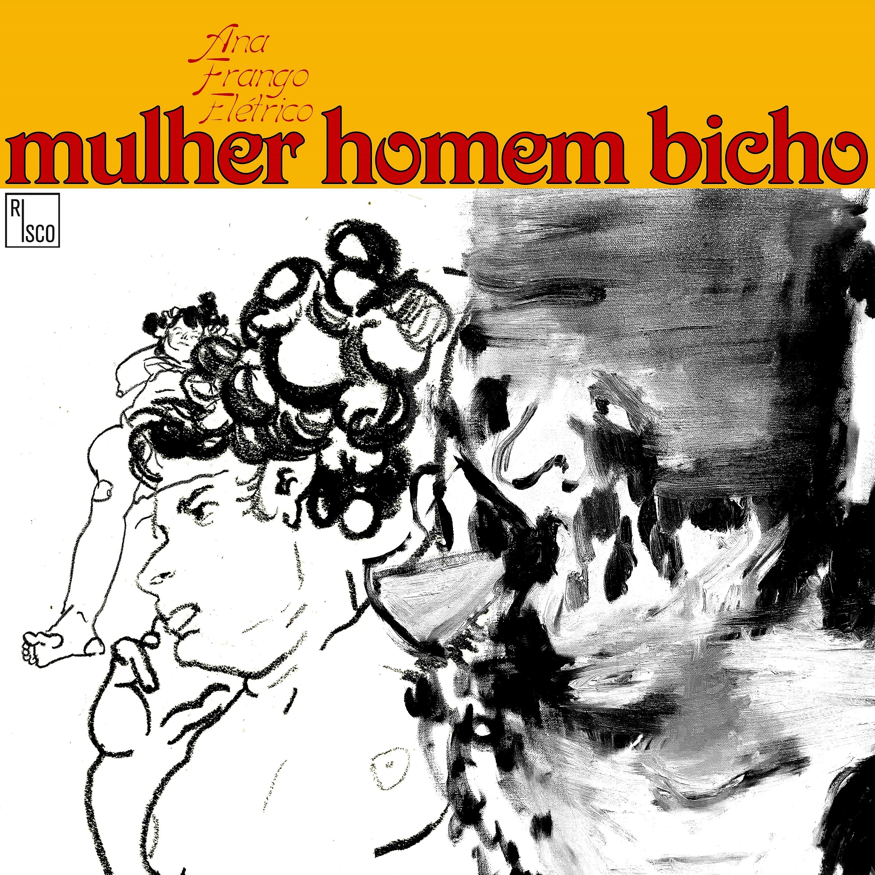 Постер альбома Mulher Homem Bicho