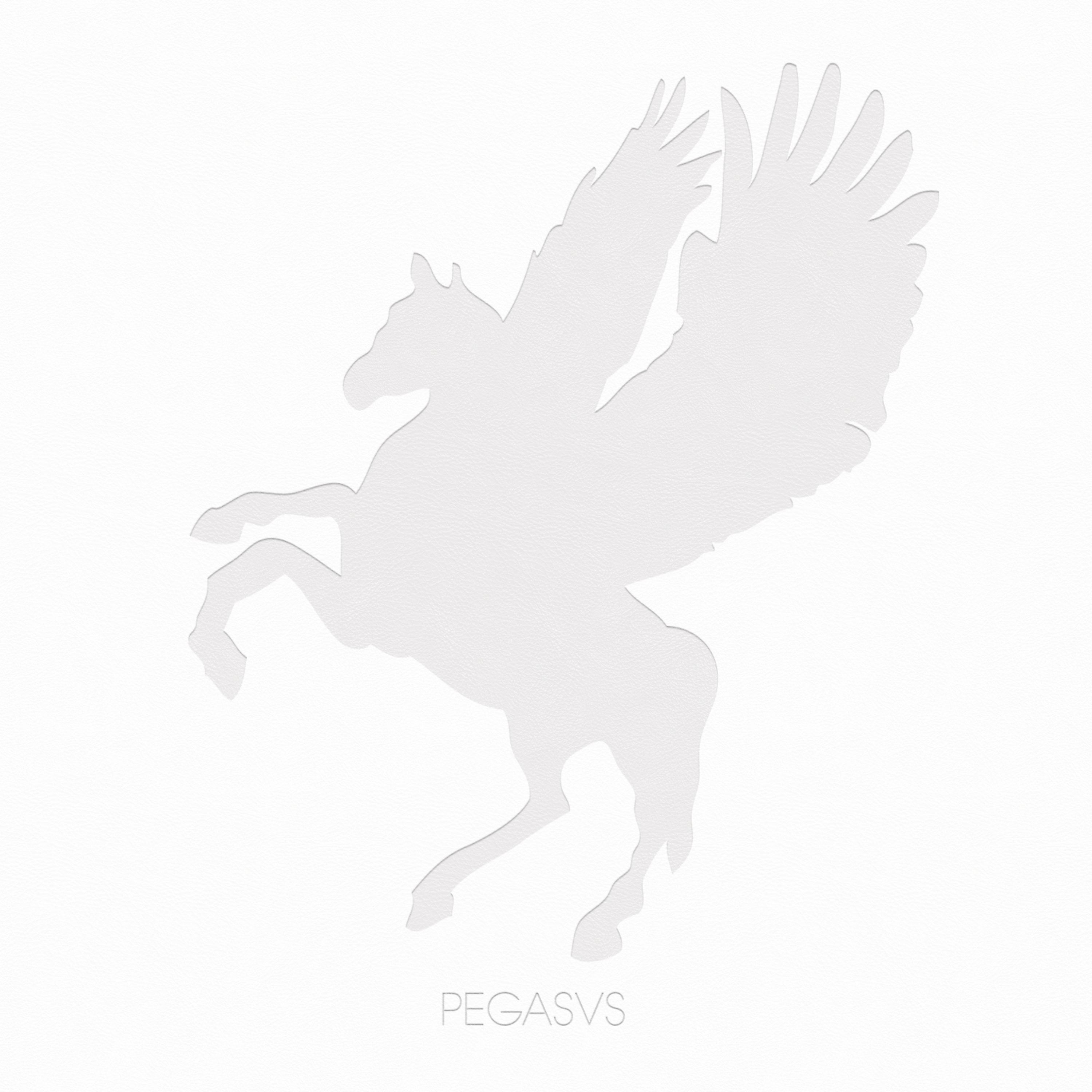 Постер альбома Pegasvs