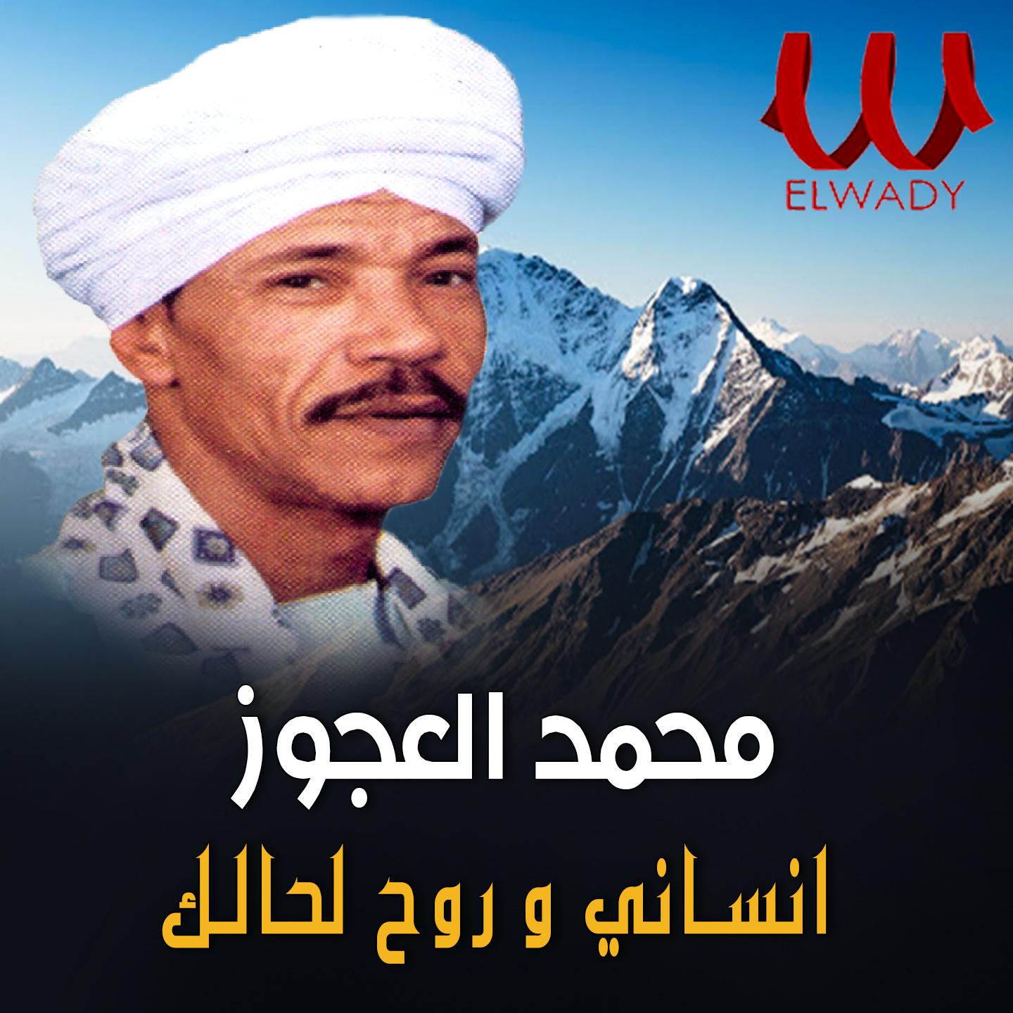 Постер альбома انساني و روح لحالك