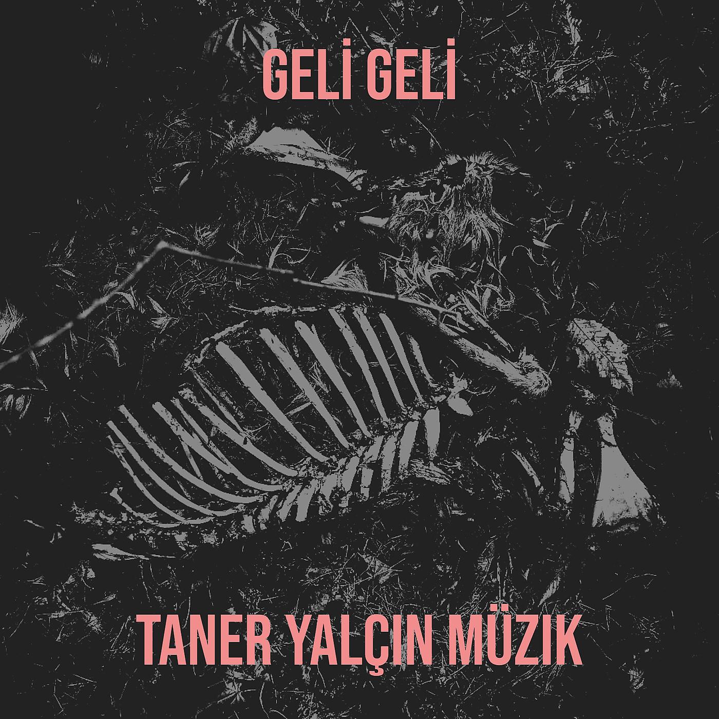 Постер альбома Geli Geli