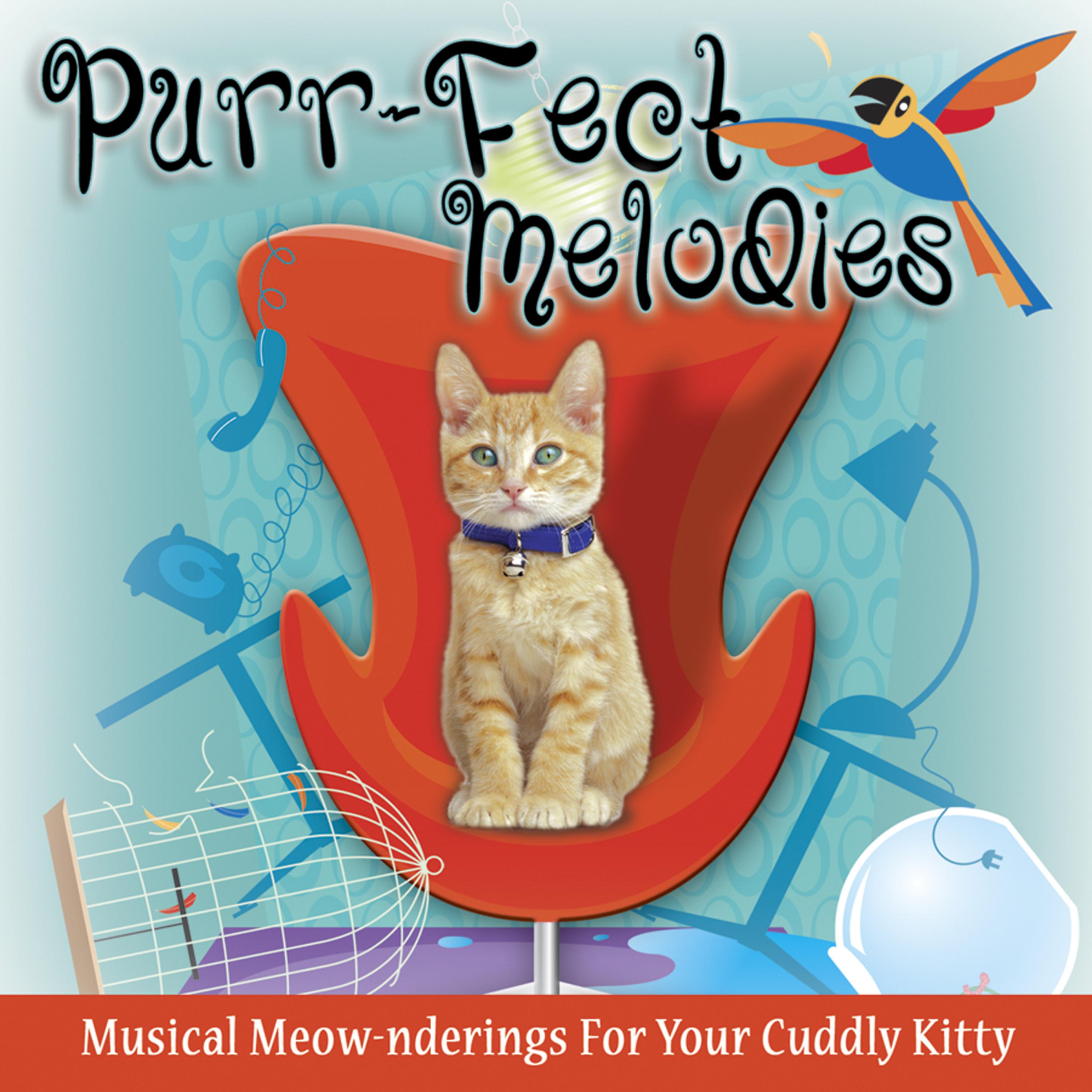 Постер альбома Purr-Fect Melodies