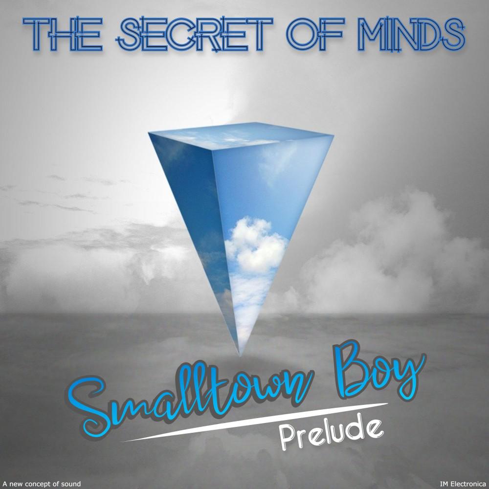 Постер альбома Smalltown Boy - Prelude