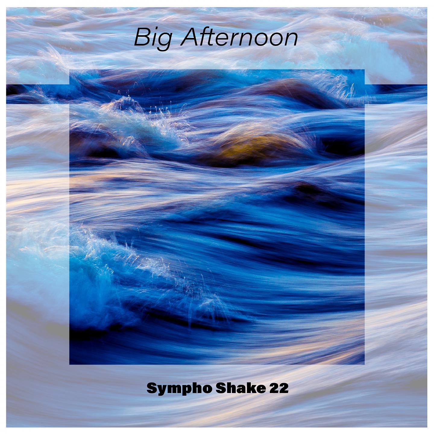 Постер альбома Big Afternoon Sympho Shake 22