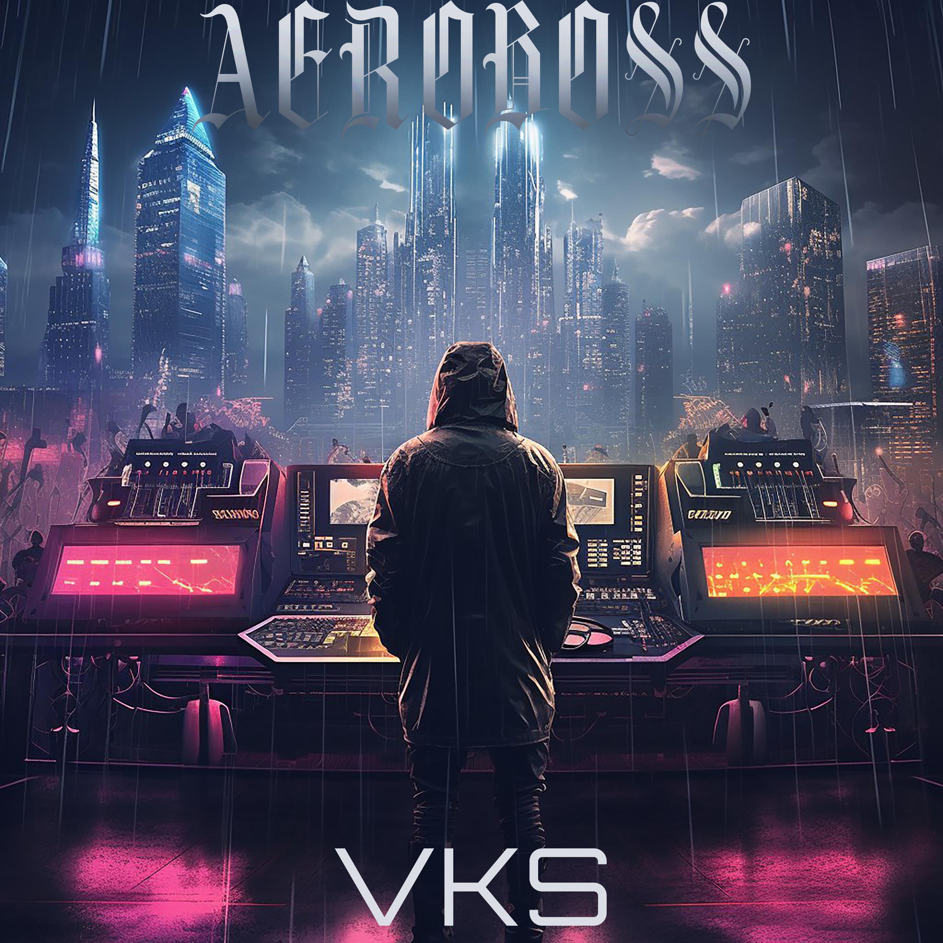 Постер альбома Vks