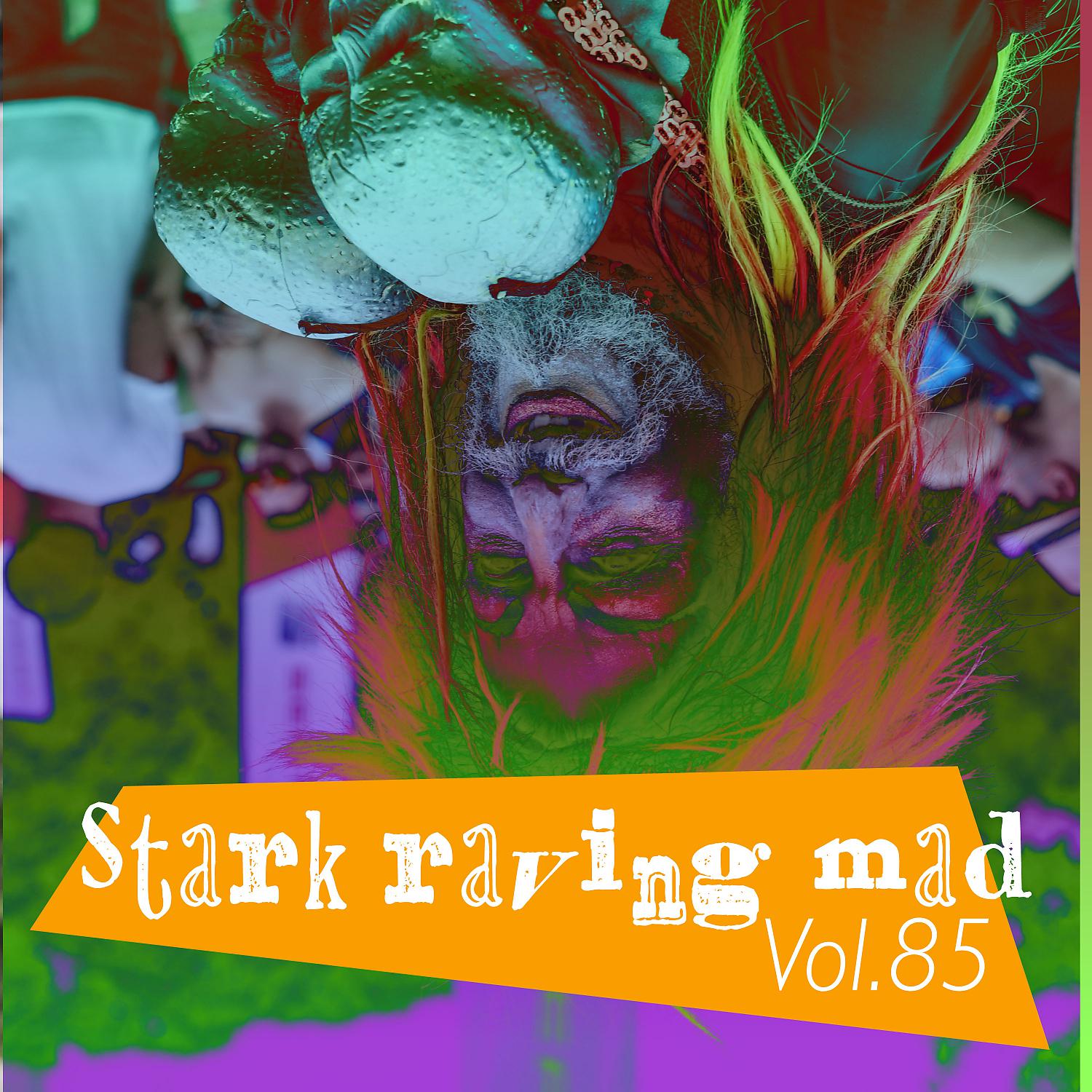 Постер альбома Stark Raving Mad, Vol. 85