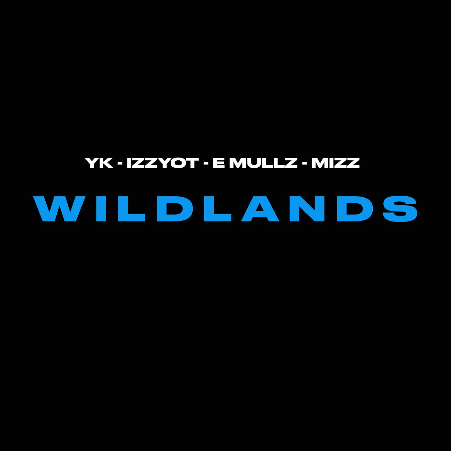 Постер альбома Wildlands
