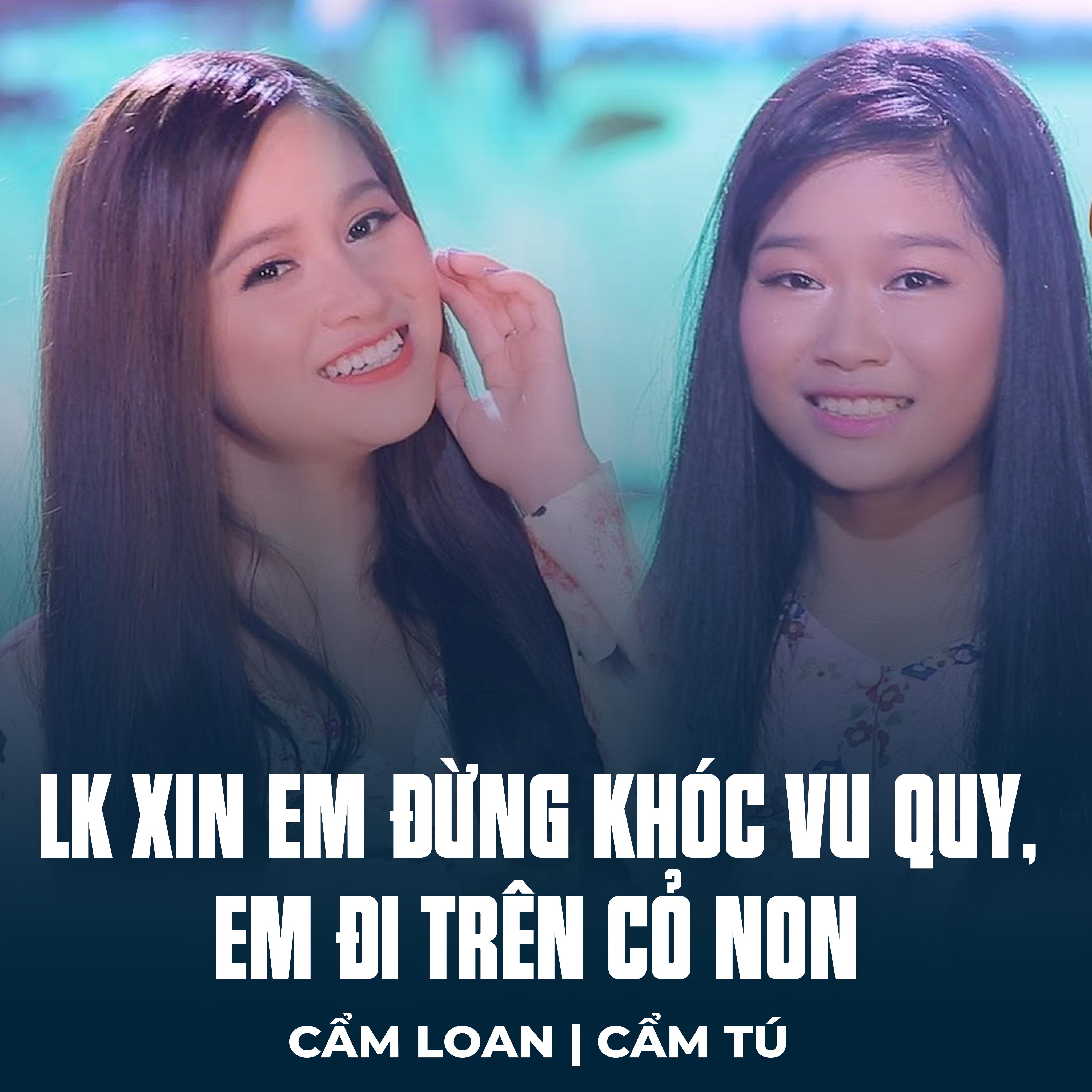 Постер альбома LK Xin Em Đừng Khóc Vu Quy, Em Đi Trên Cỏ Non