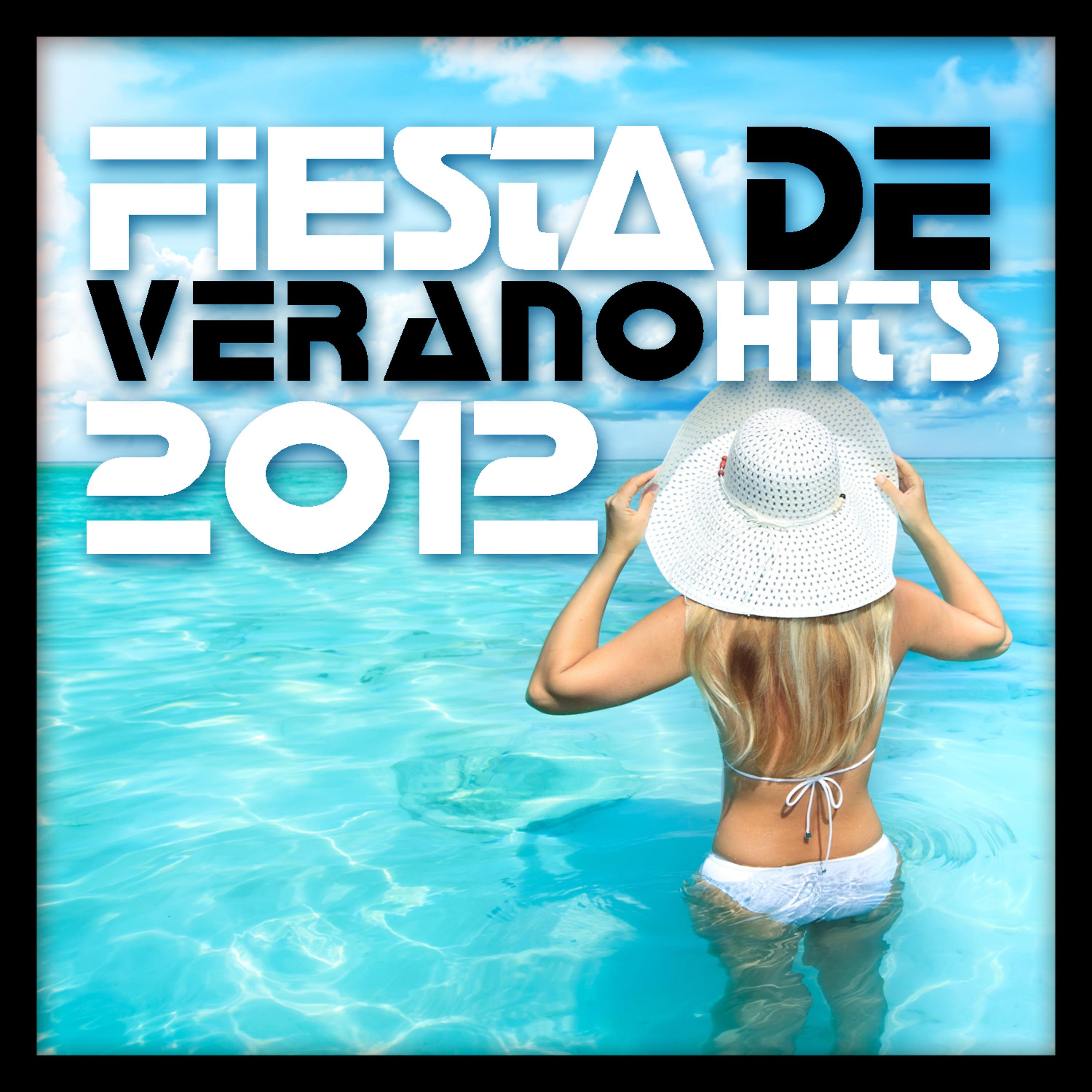 Постер альбома Fiesta de Verano Hits 2012