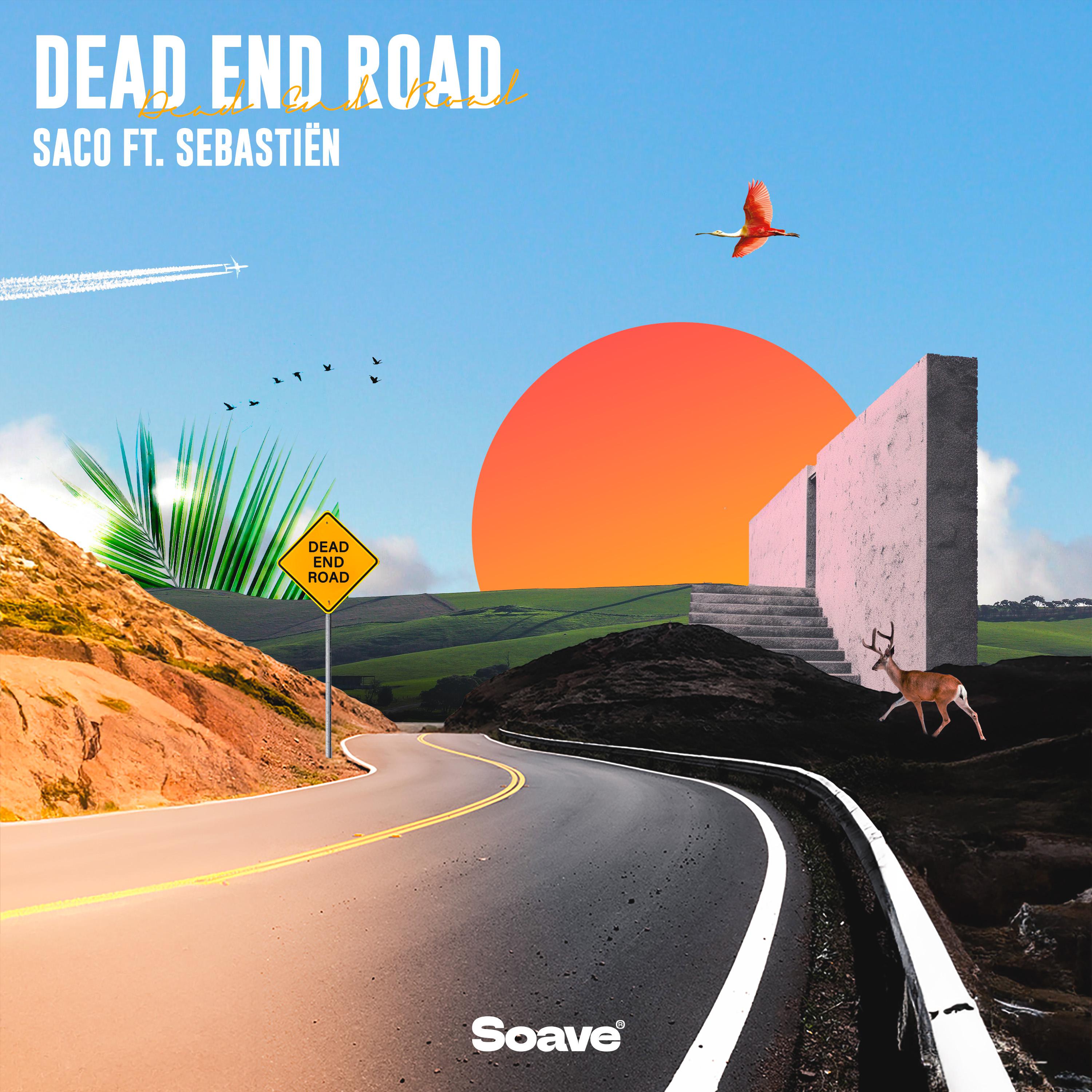 Постер альбома Dead End Road
