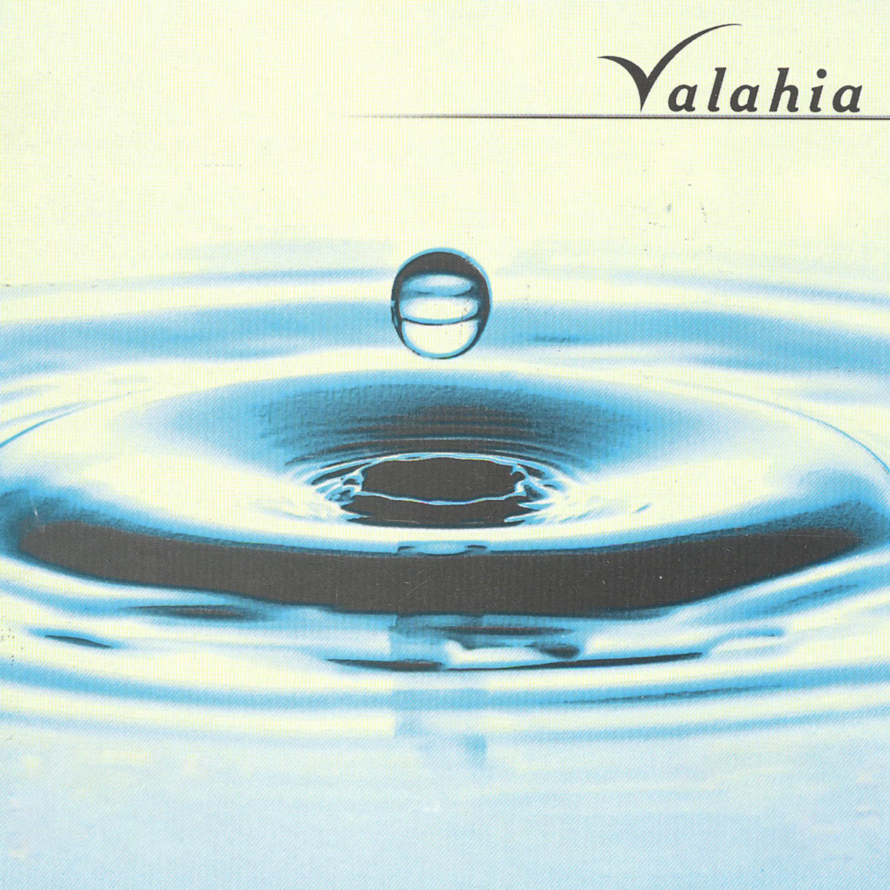 Постер альбома Valahia