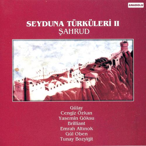 Постер альбома Seyduna Türküleri, Vol. 2