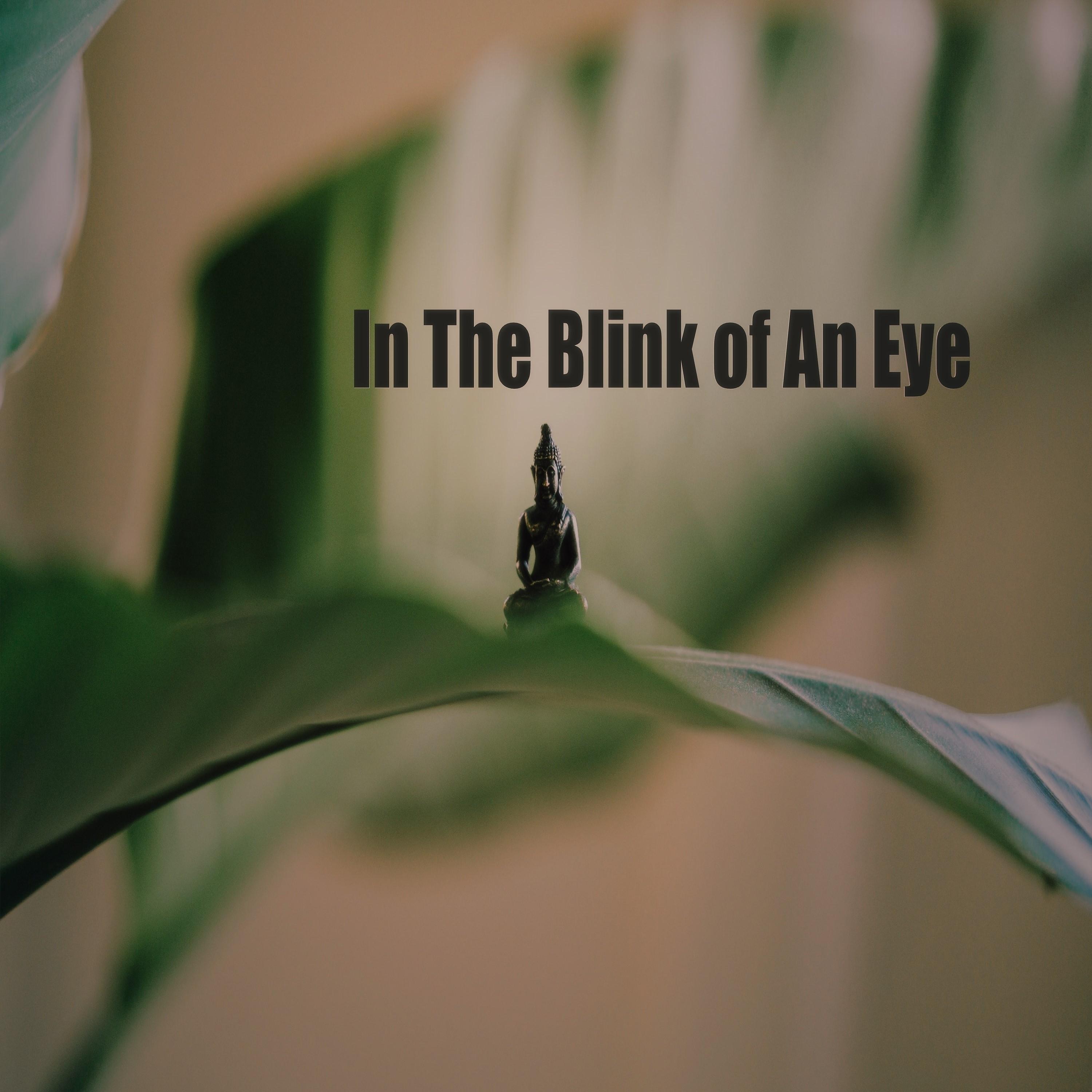 Постер альбома In the Blink of an Eye