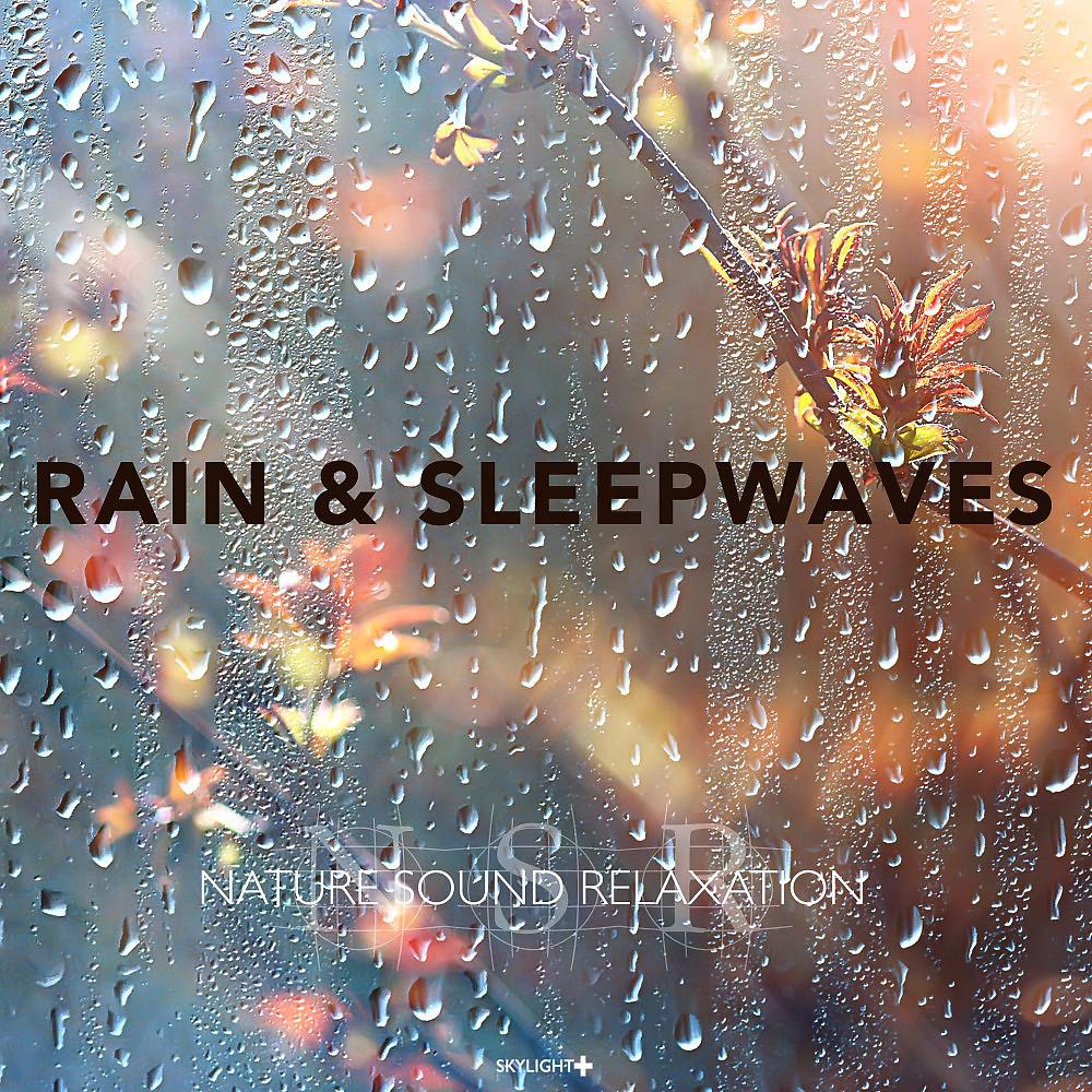 Постер альбома Rain & Sleepwaves (Continuous Mix)