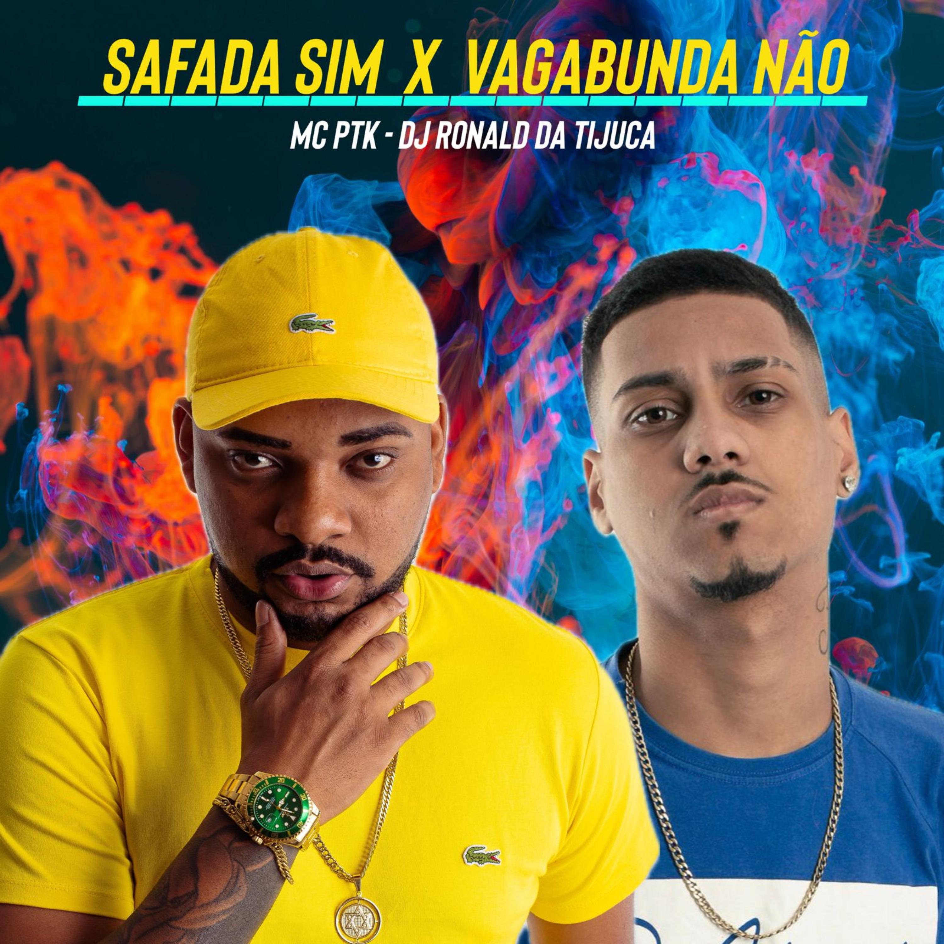 Постер альбома Safada Sim Vagabunda Não