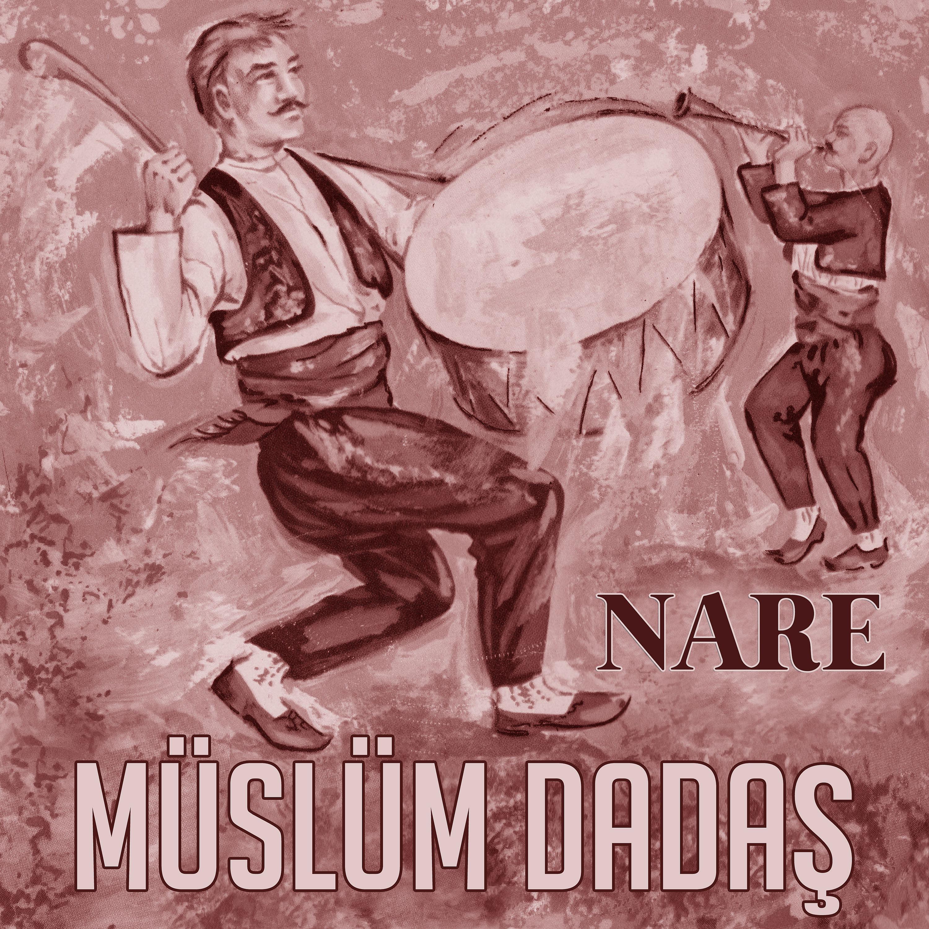 Постер альбома Nare