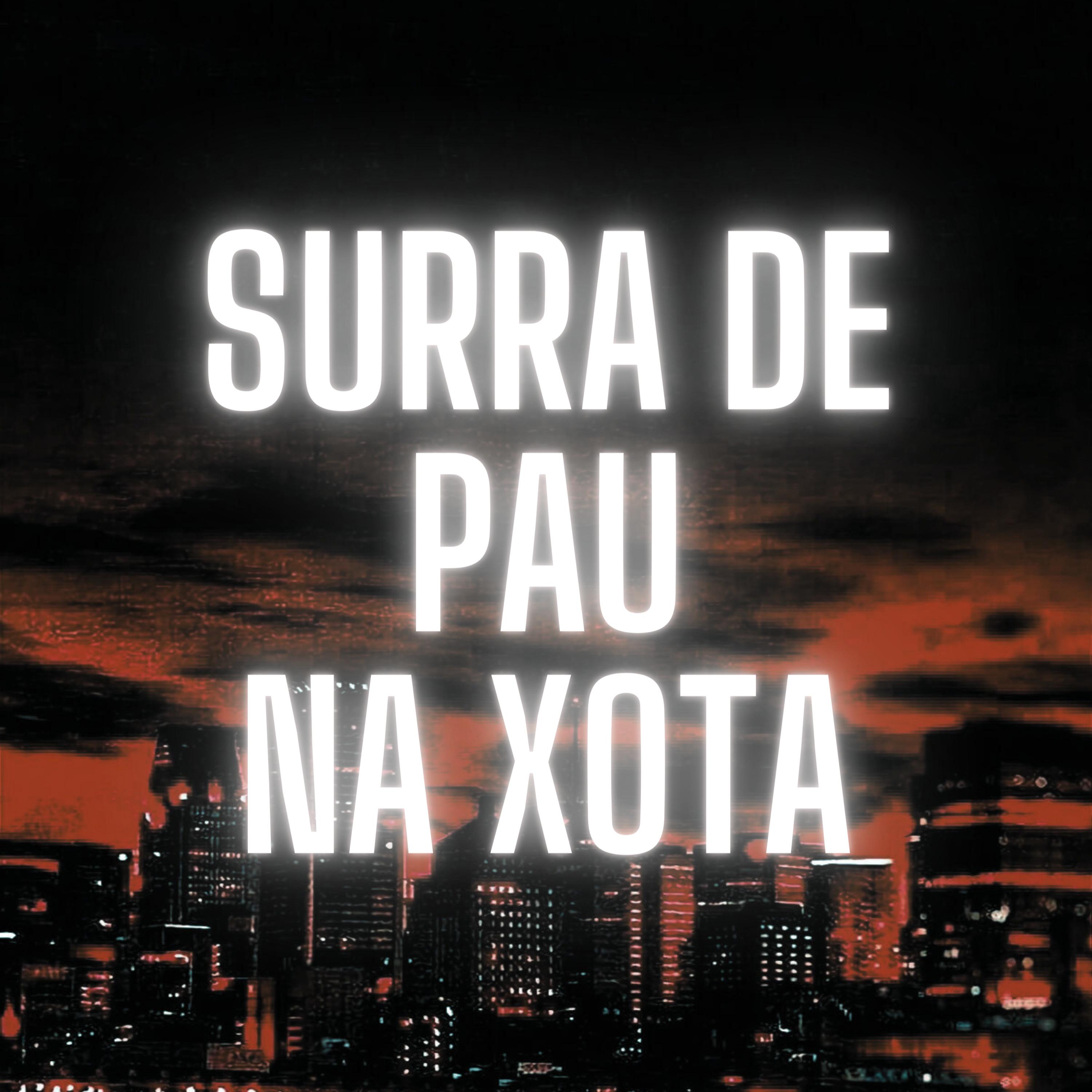 Постер альбома Surra de Pau na Xota