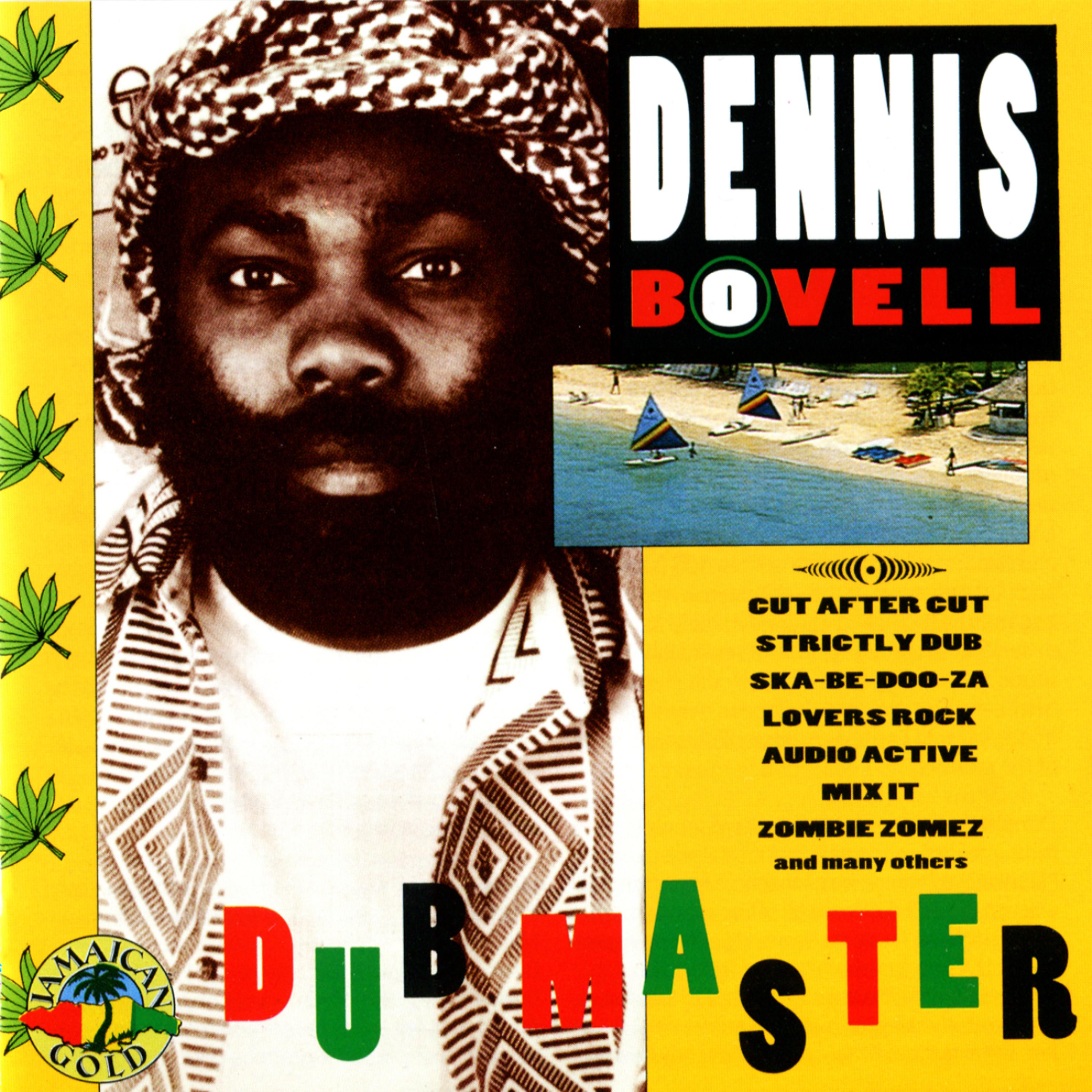 Постер альбома Dub Master
