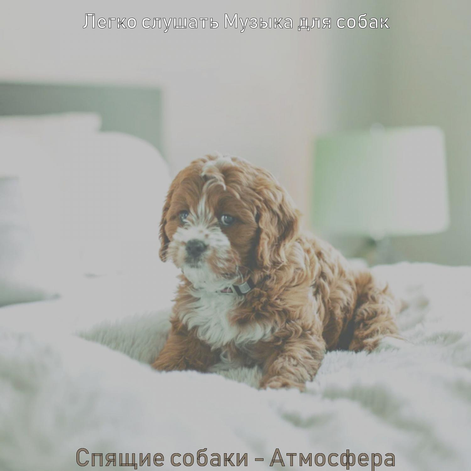Постер альбома Спящие собаки - Атмосфера