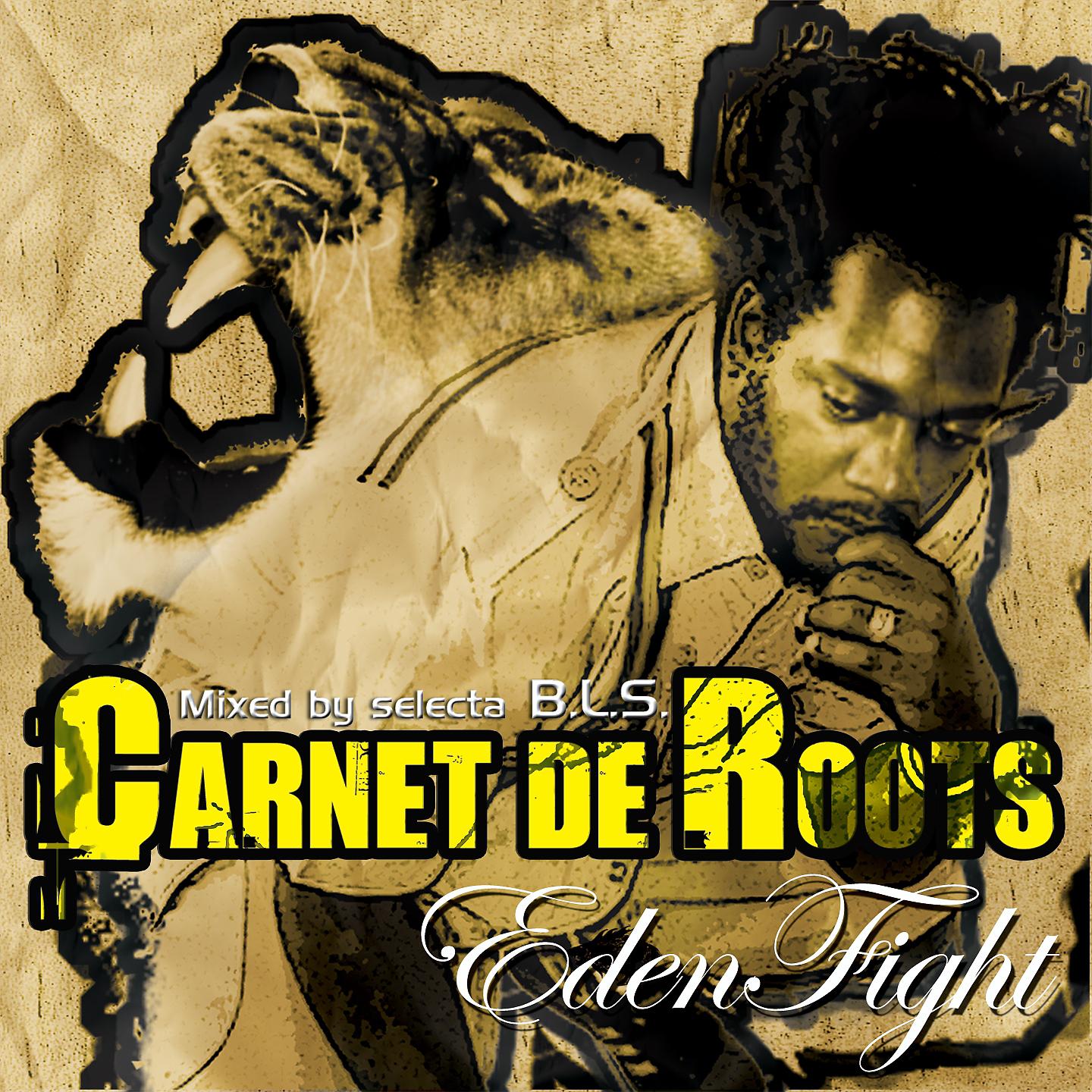 Постер альбома Carnet de roots