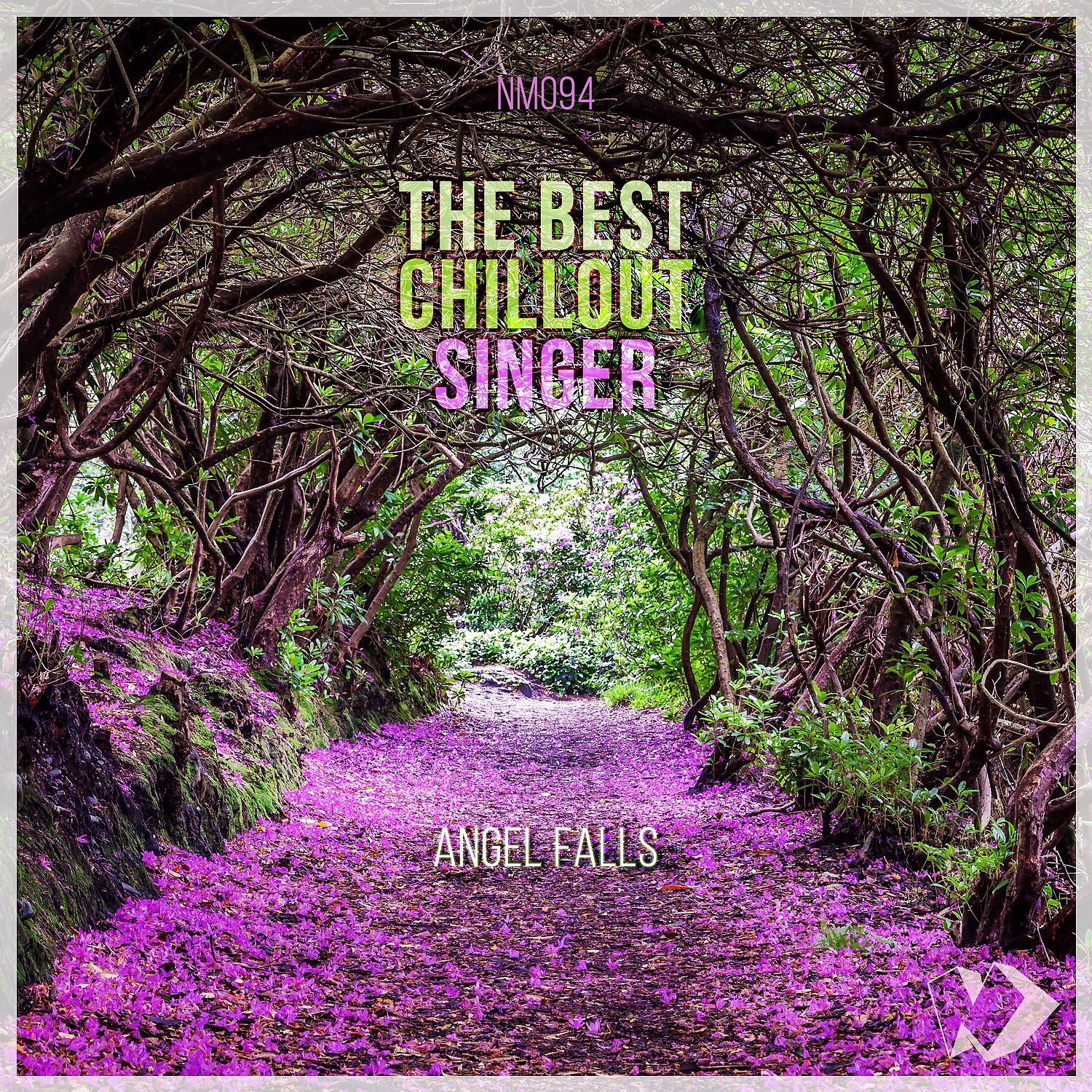 Постер альбома The Best Chillout Singer: Angel Falls