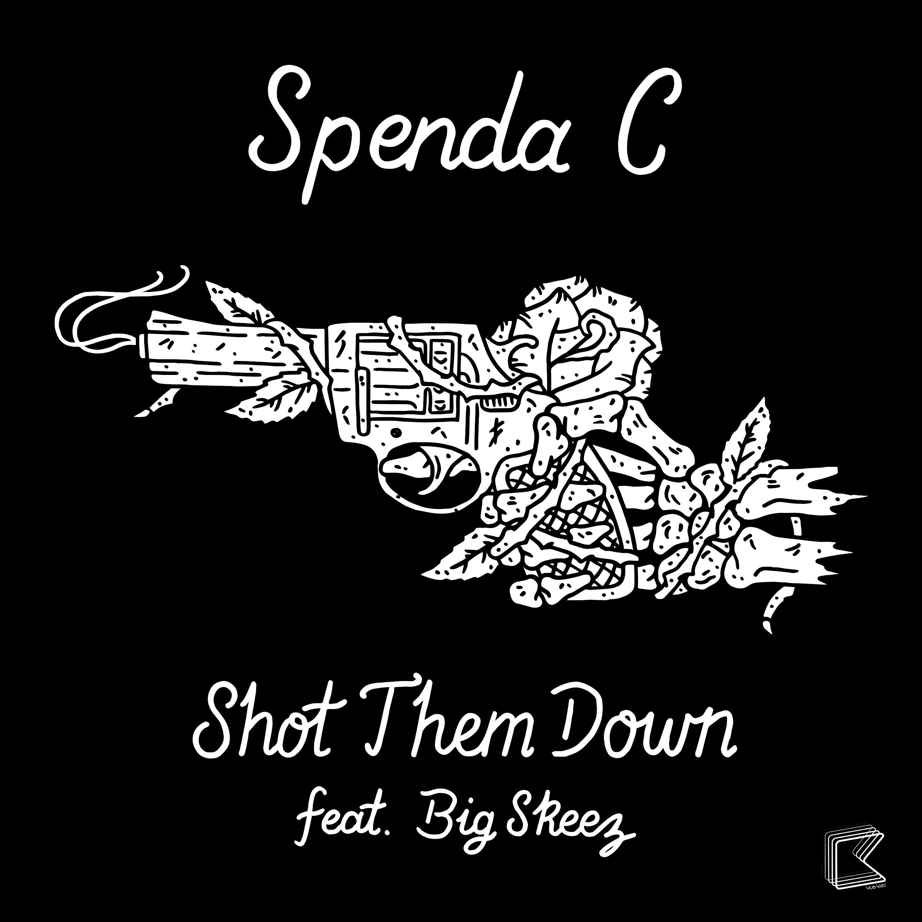 Постер альбома Shot Them Down (feat. Big Skeez)