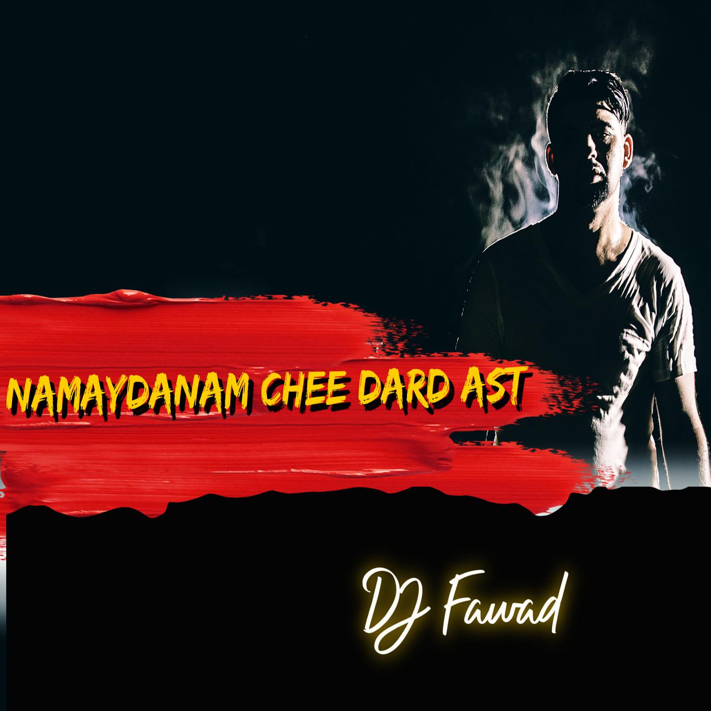 Постер альбома Namaydanam Chee Dard Ast