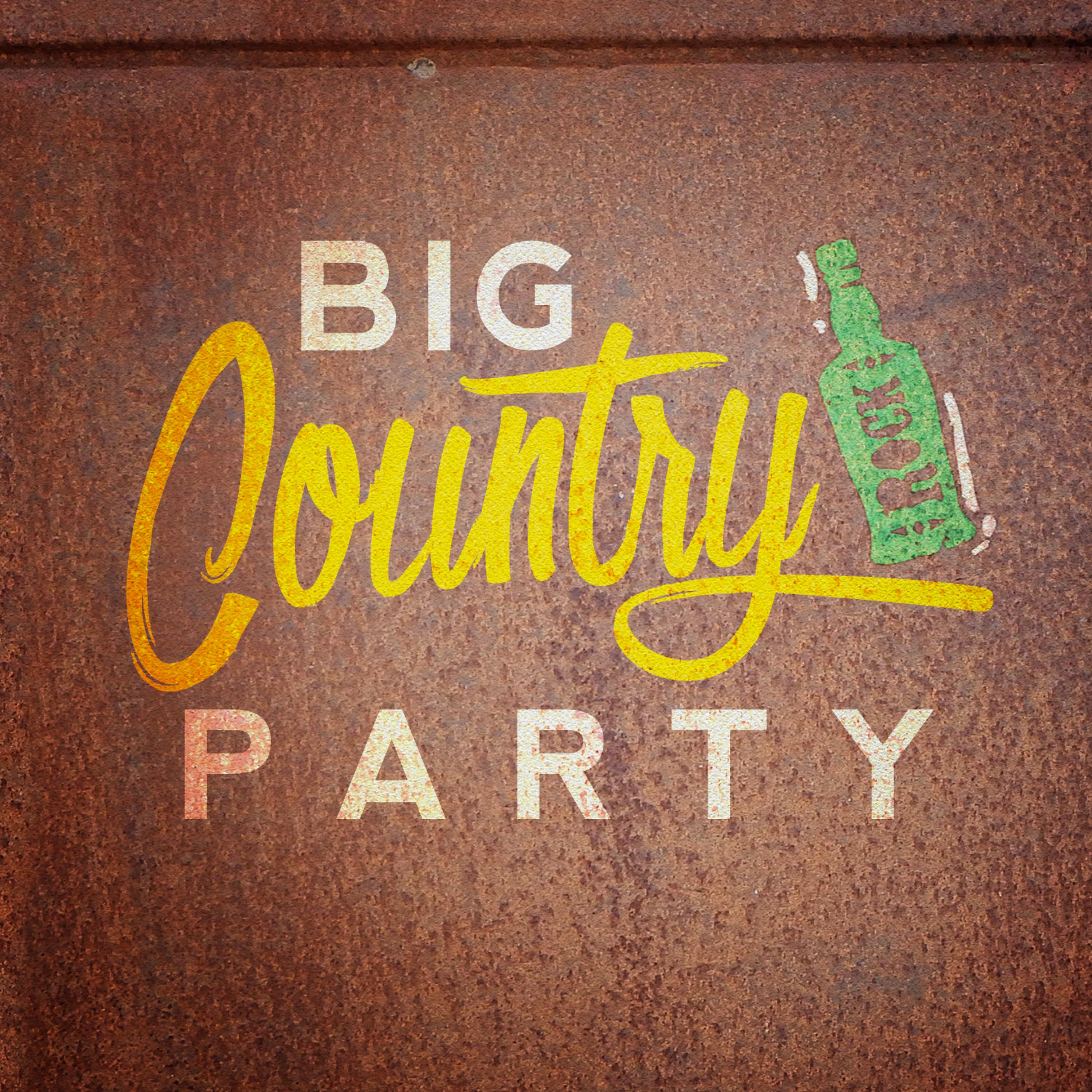 Постер альбома Big Country Party