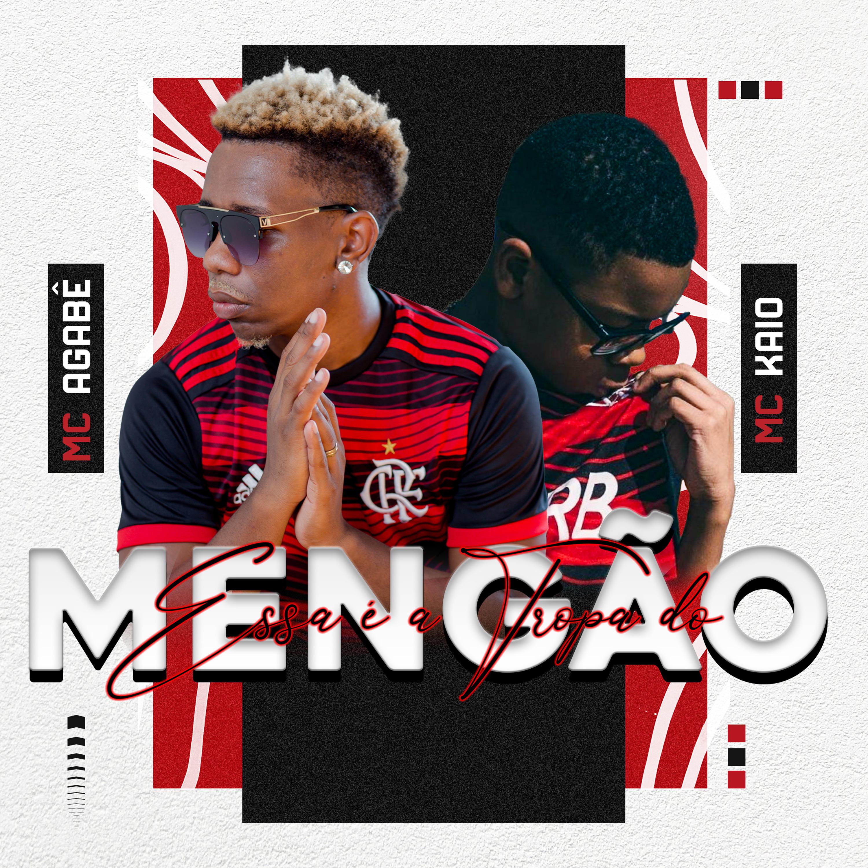 Постер альбома Essa É a Tropa do Mengão