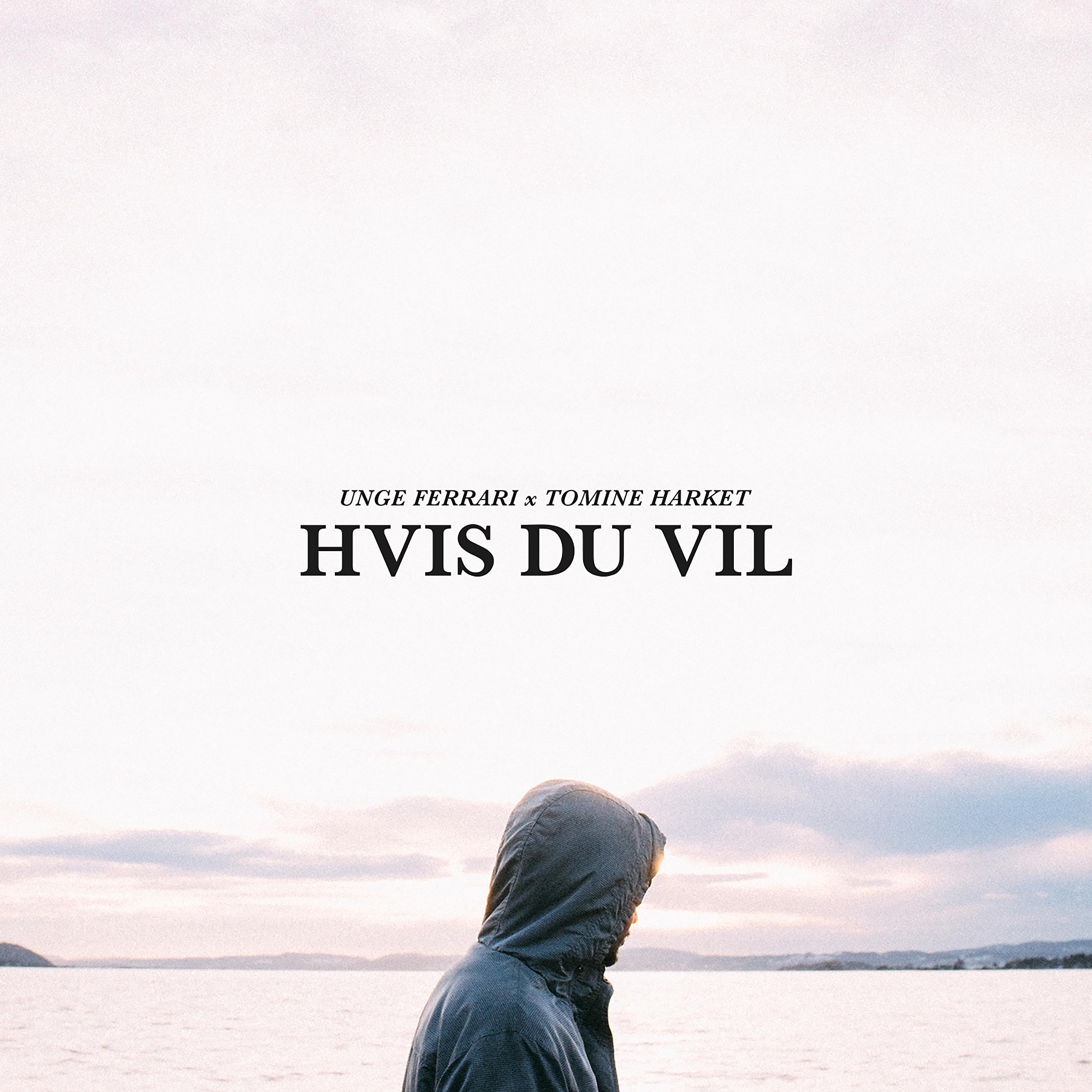 Постер альбома Hvis Du Vil