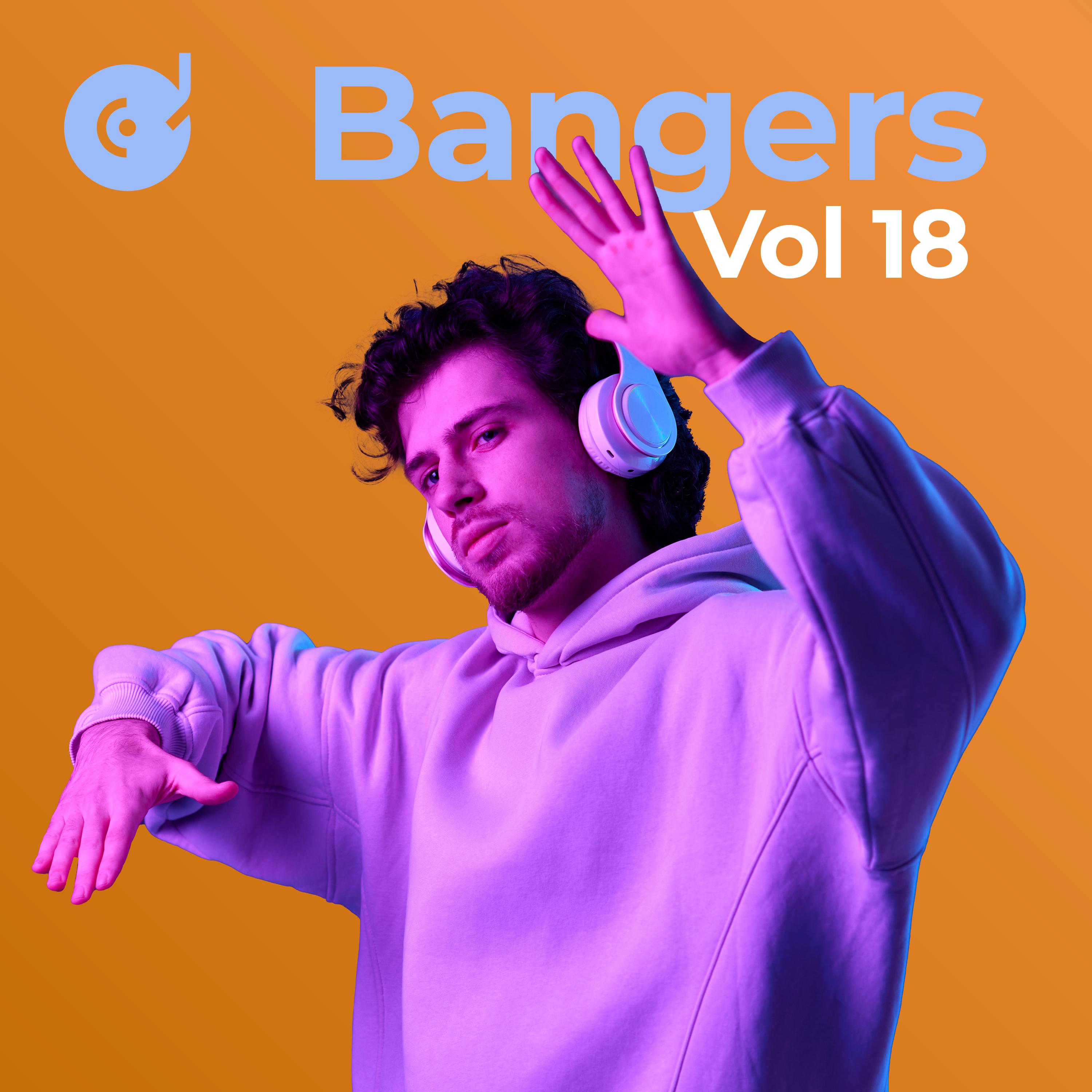 Постер альбома Bangers, Vol. 19