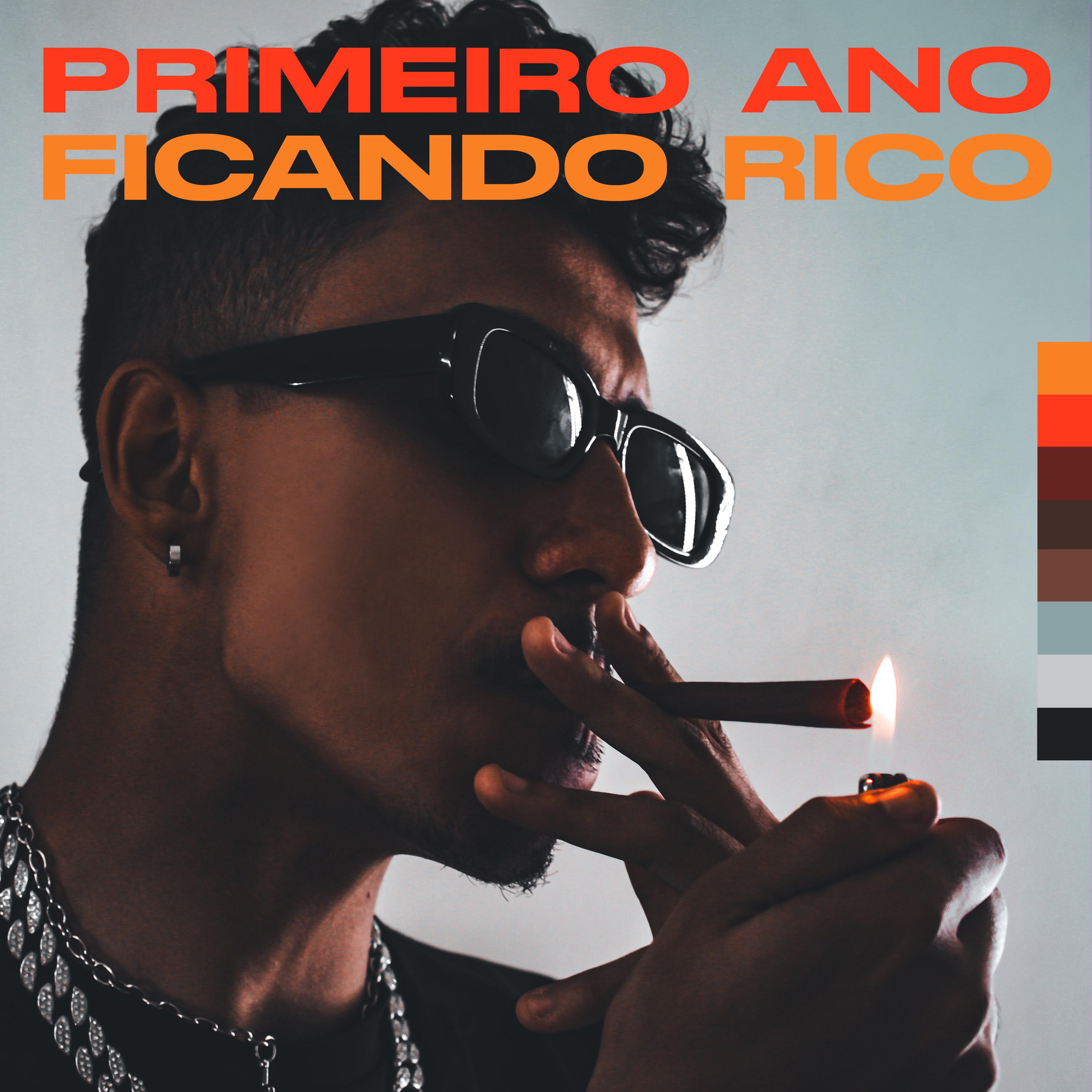 Постер альбома Primeiro Ano Ficando Rico