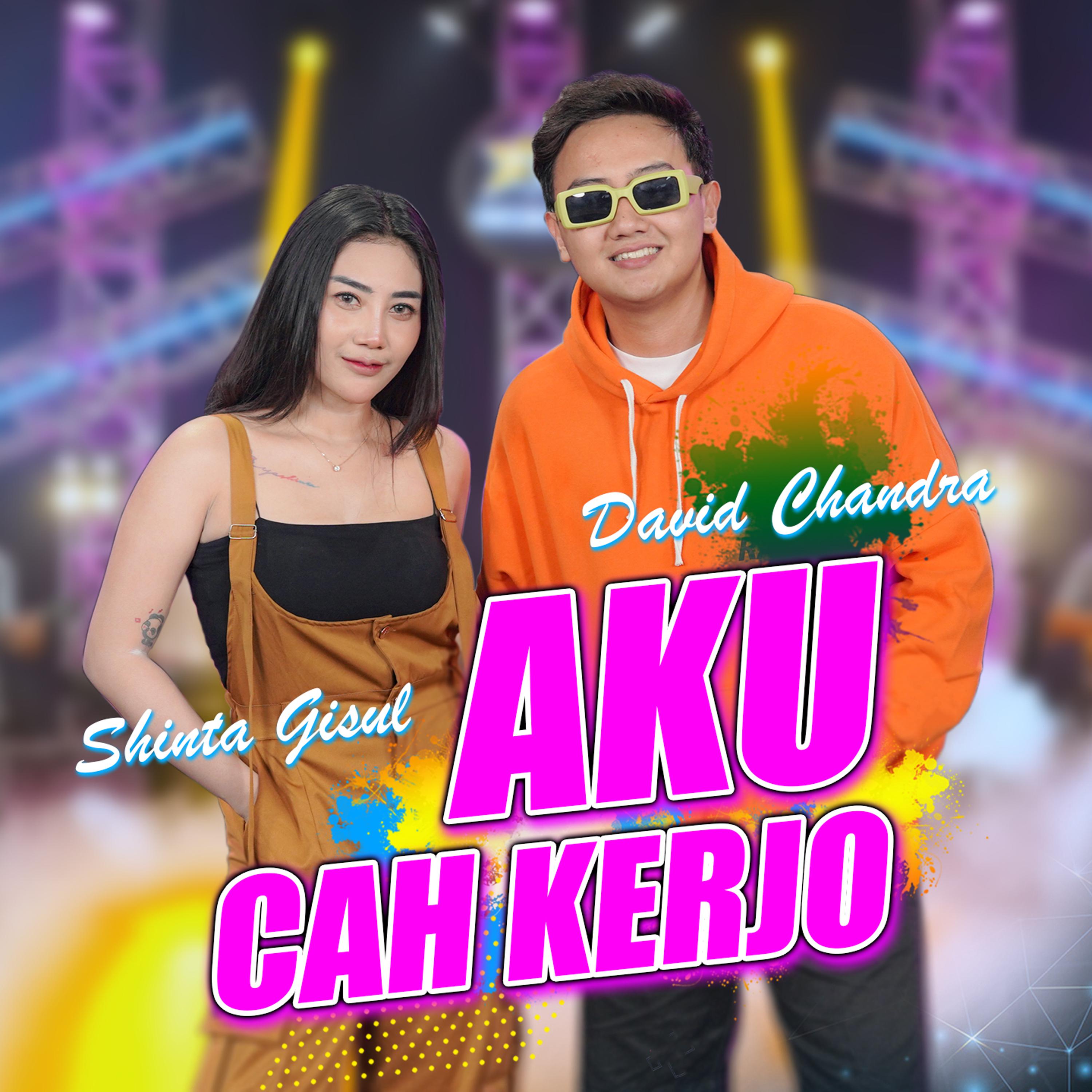 Постер альбома Aku Cah Kerjo