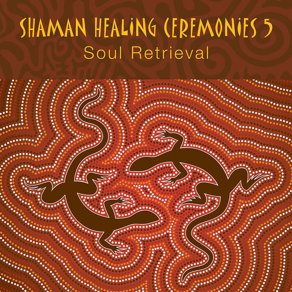 Постер альбома Shaman Healing Ceremonies, Pt. 5
