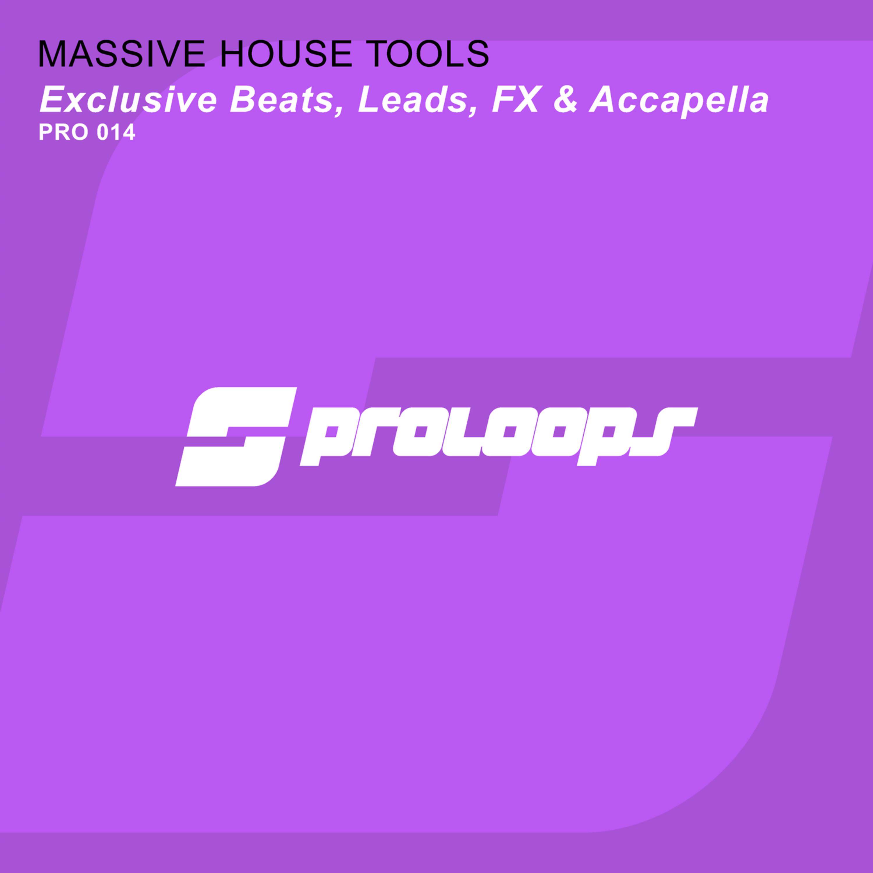 Постер альбома Massive House Tools