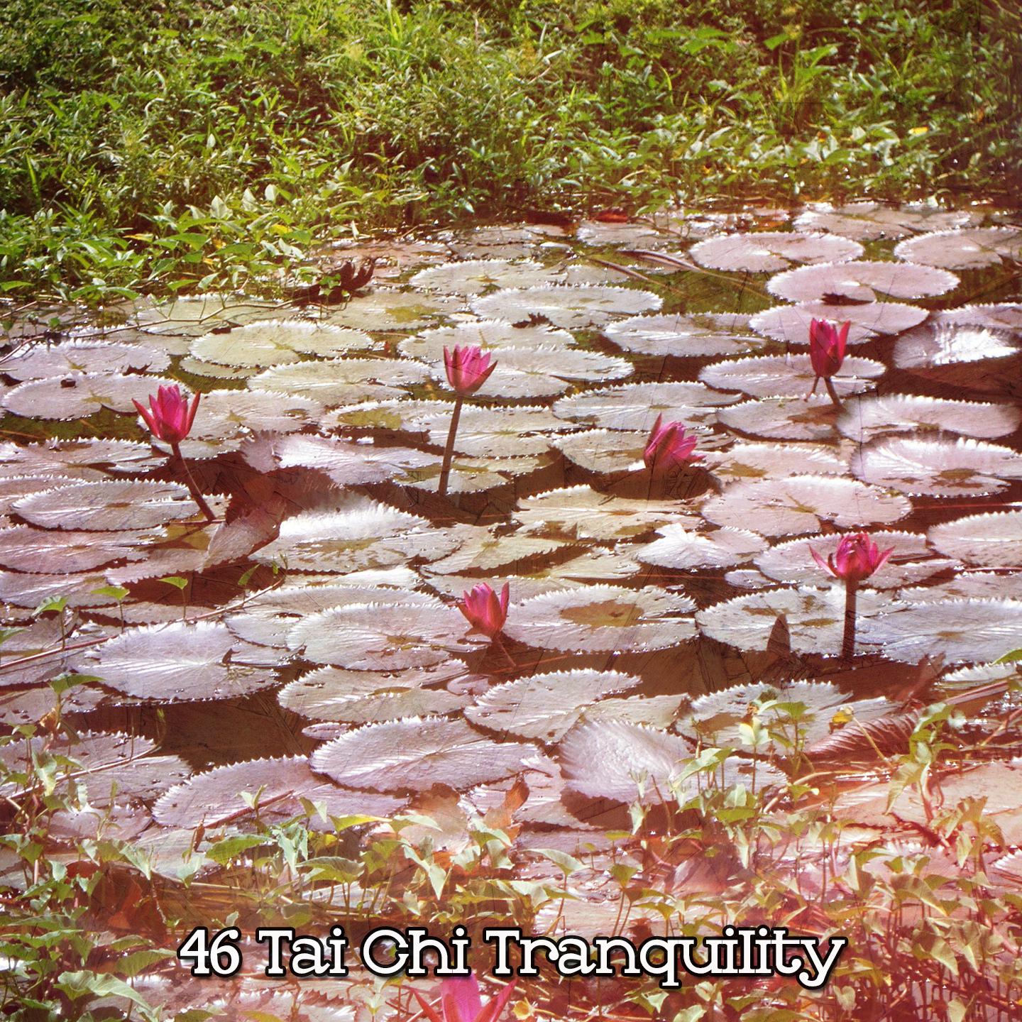 Постер альбома 46 Tai Chi Tranquility