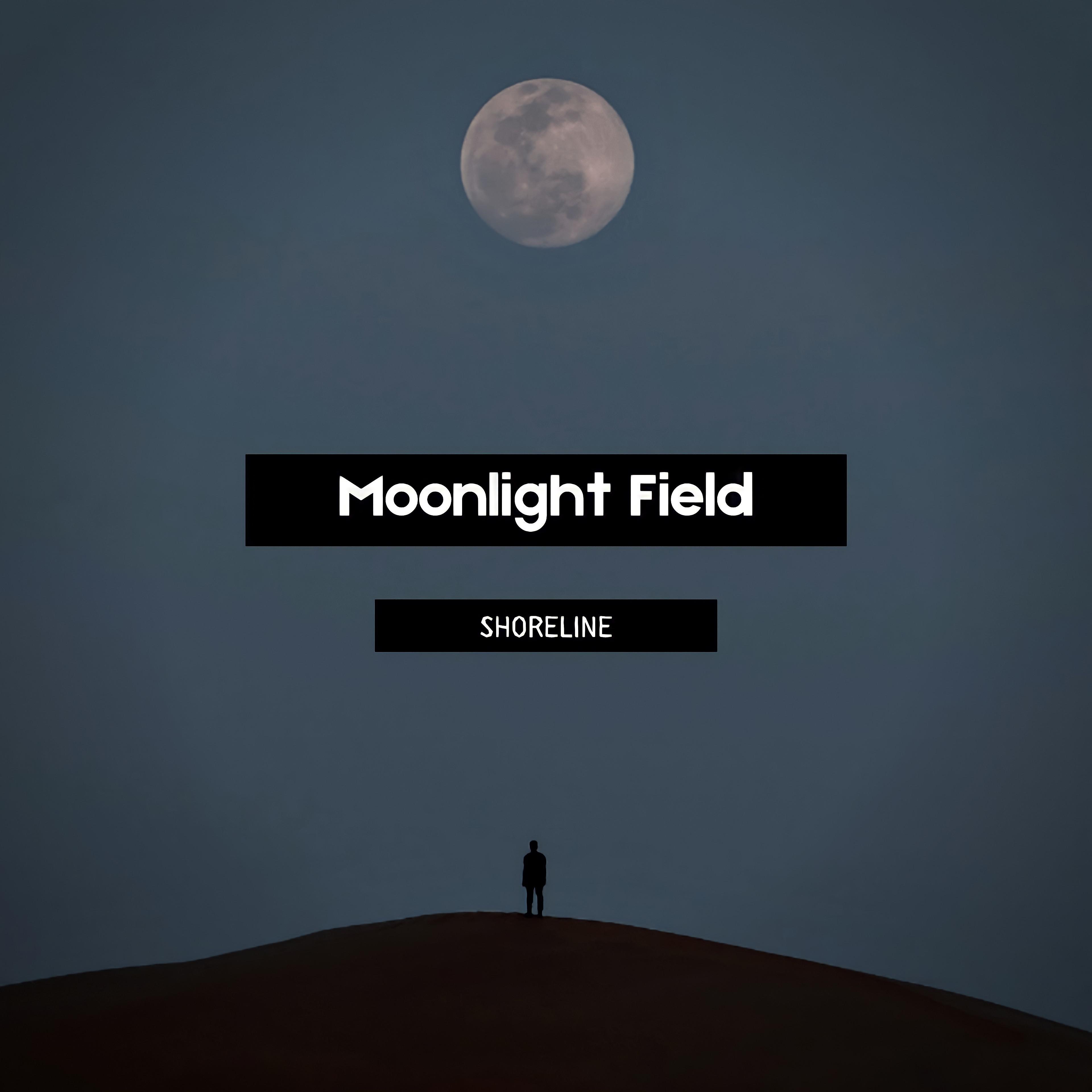 Постер альбома Moonlight Field