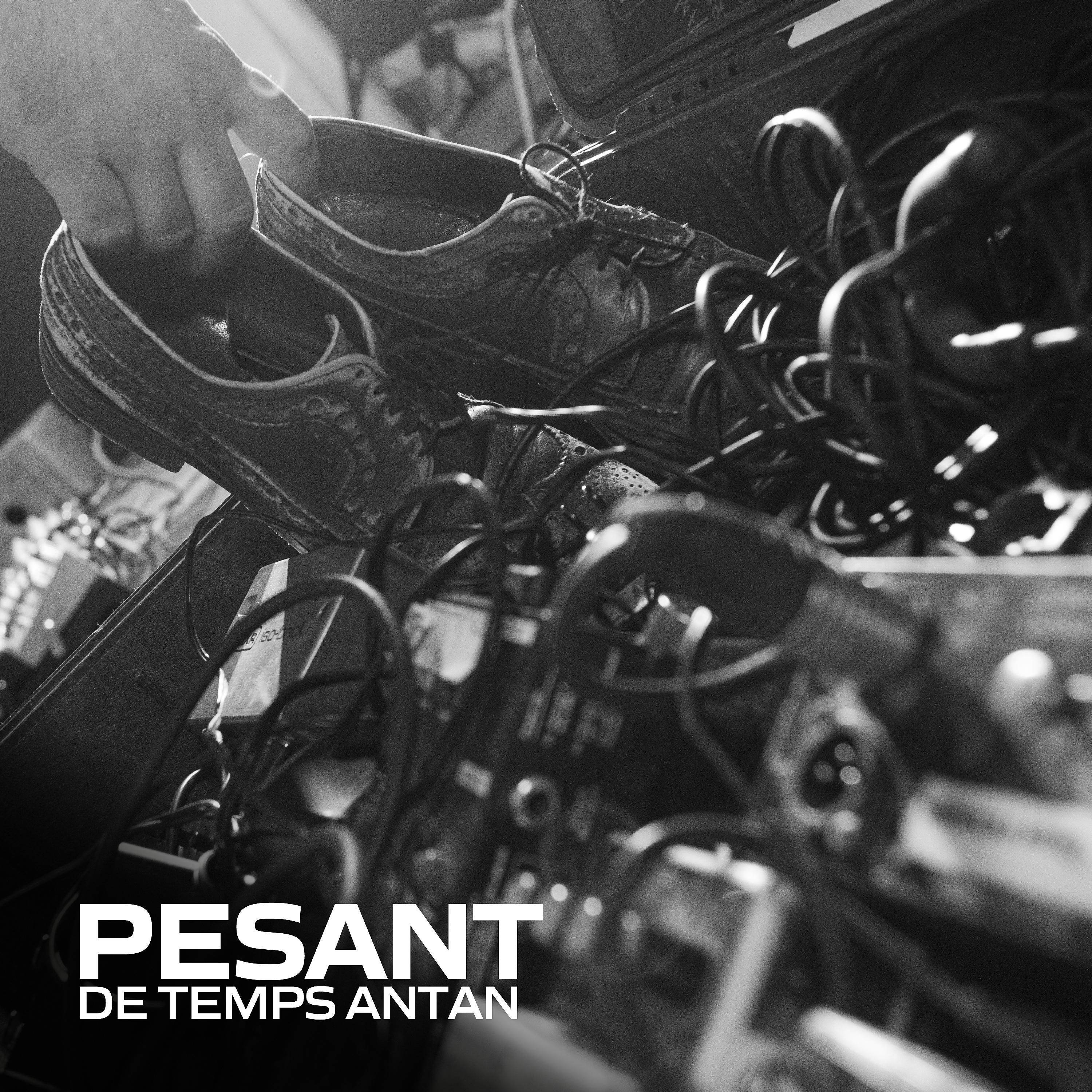 Постер альбома Pesant