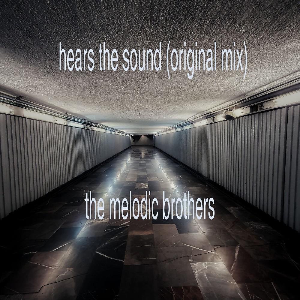 Постер альбома Hears the Sound (Original Mix)