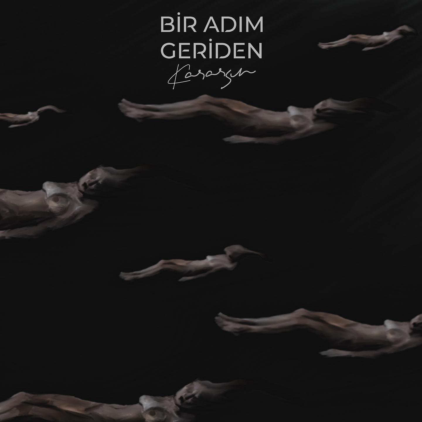 Постер альбома Kararsın