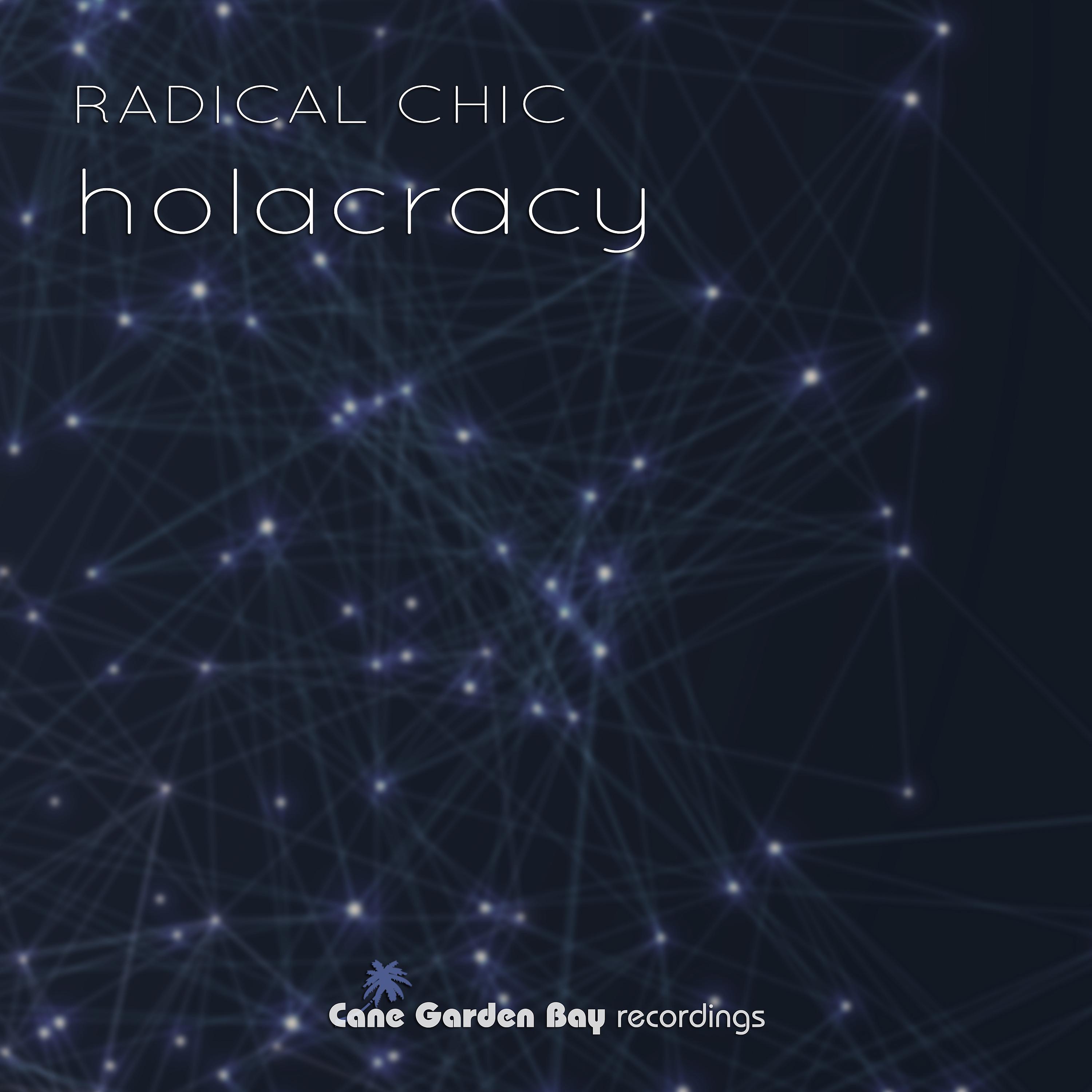 Постер альбома Holacracy
