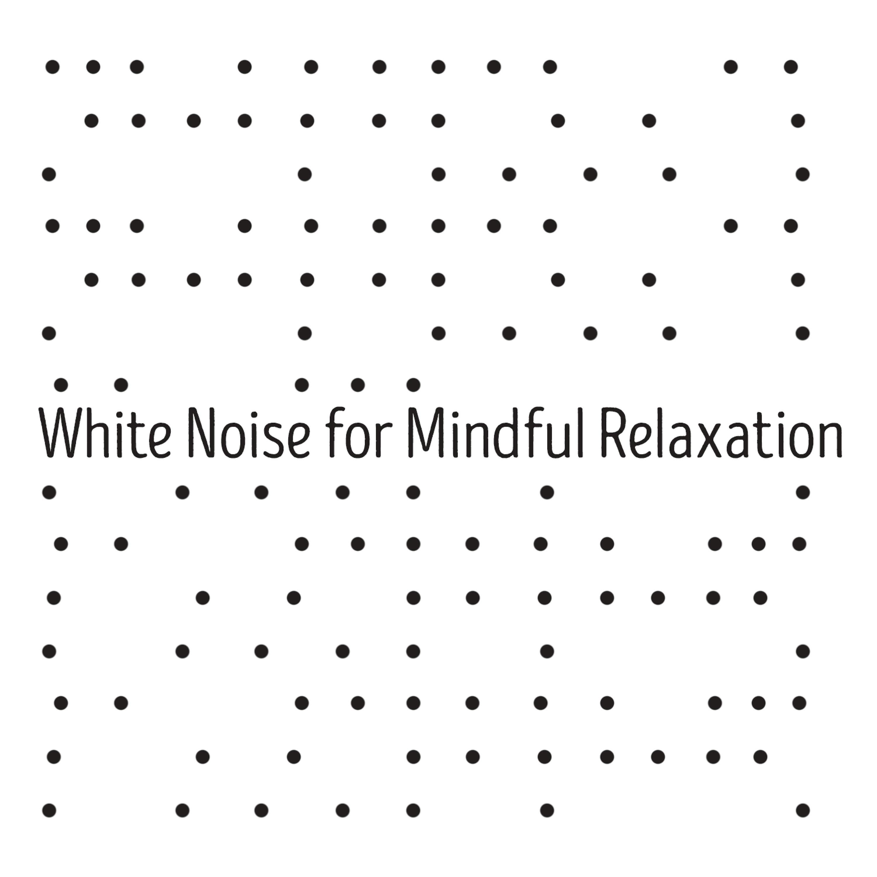 Постер альбома White Noise for Mindful Relaxation