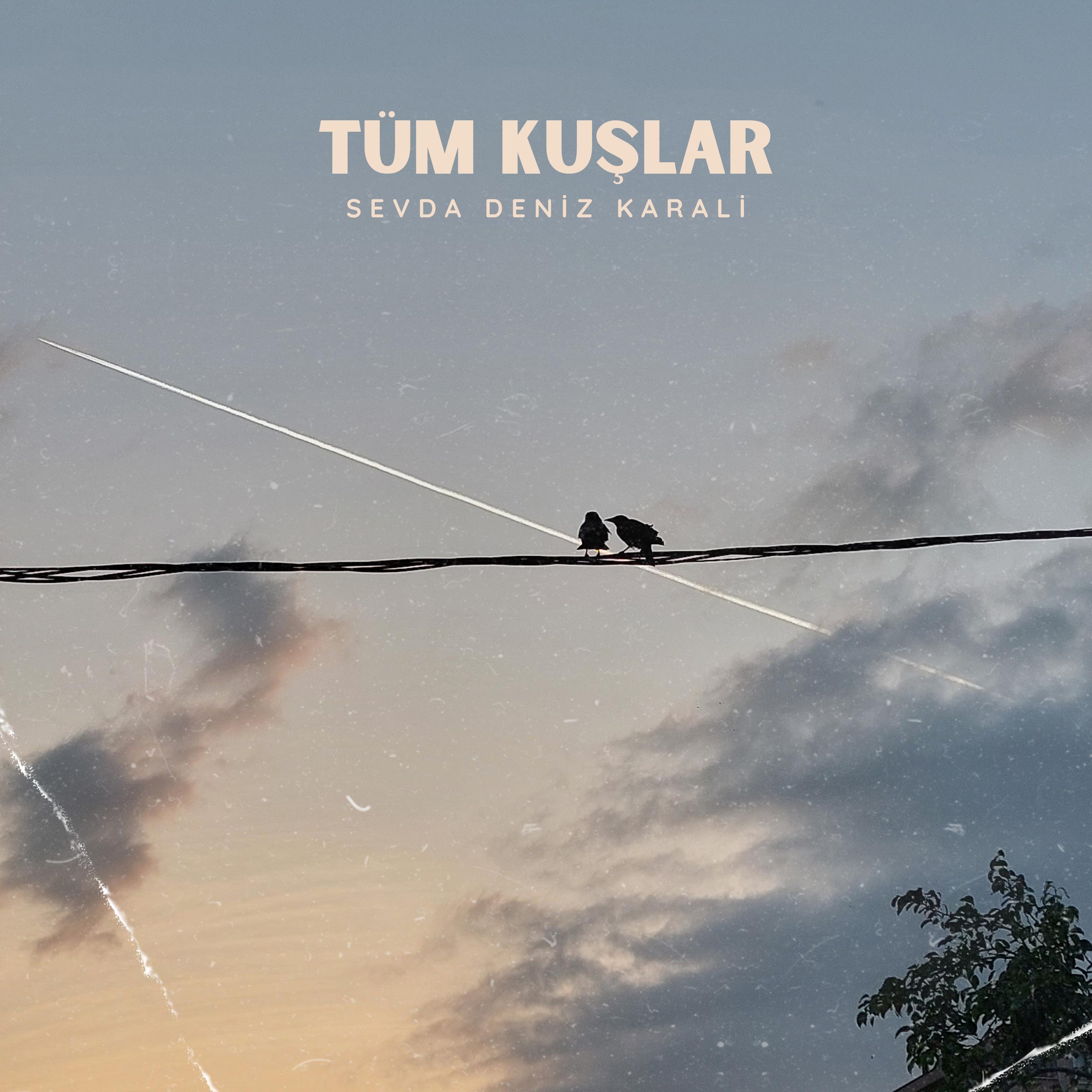 Постер альбома Tüm Kuşlar
