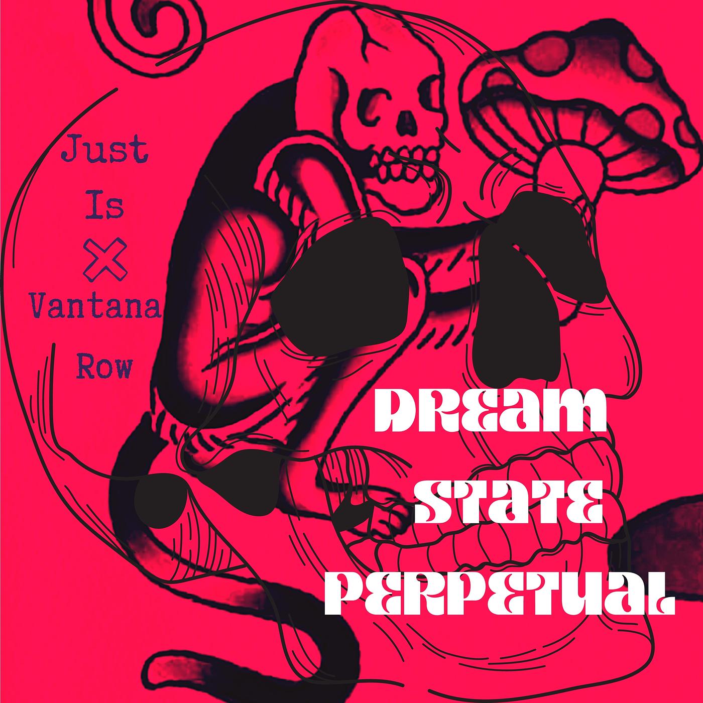 Постер альбома Dream State Perpetual