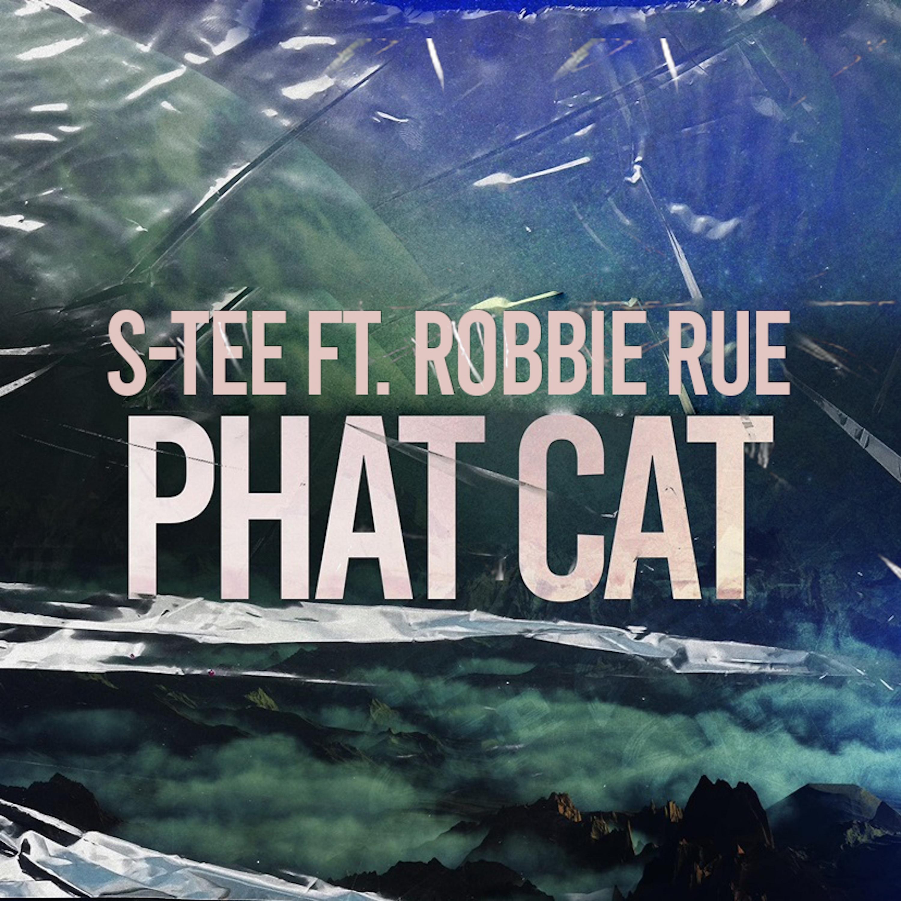 Постер альбома Phat Cat