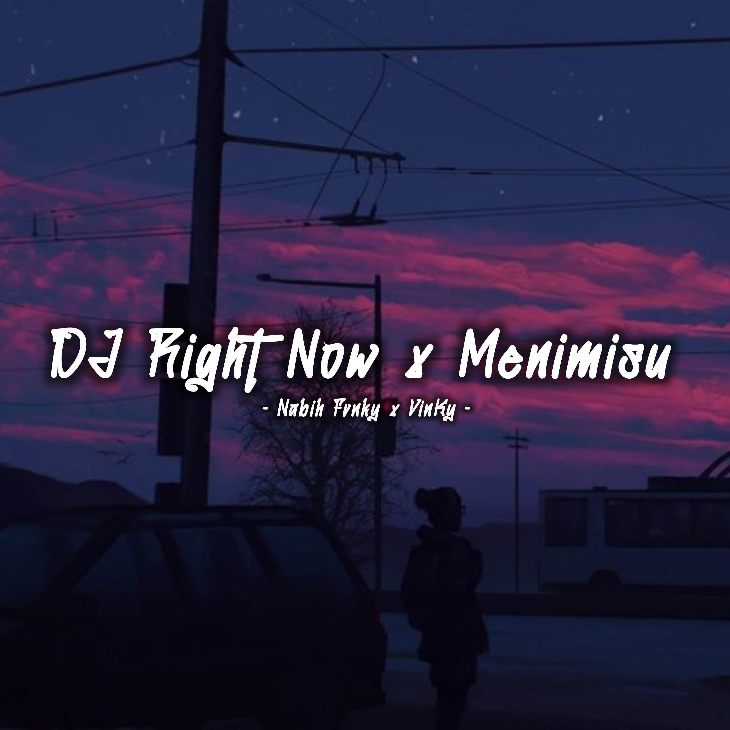 Постер альбома DJ Right Now X Menimisu