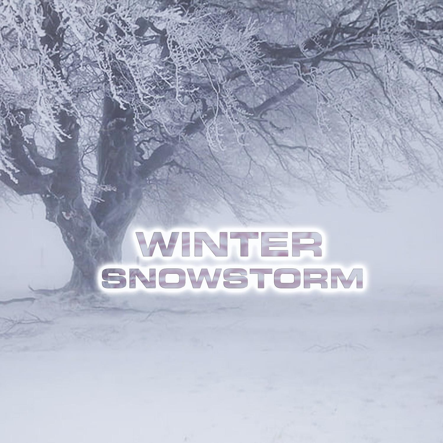 Постер альбома Winter Snowstorm (feat. Blizzard White Noise Sound)