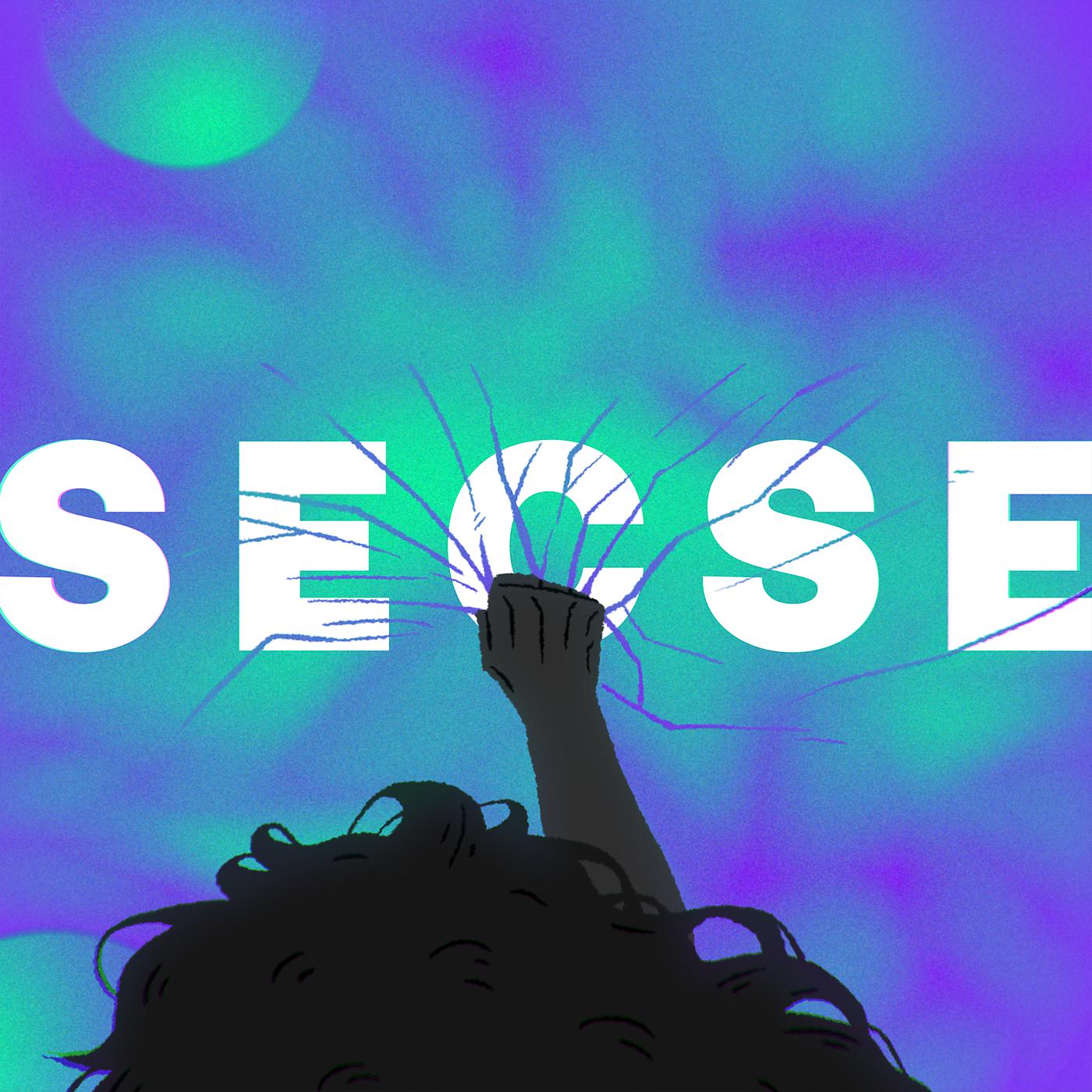 Постер альбома SECSE