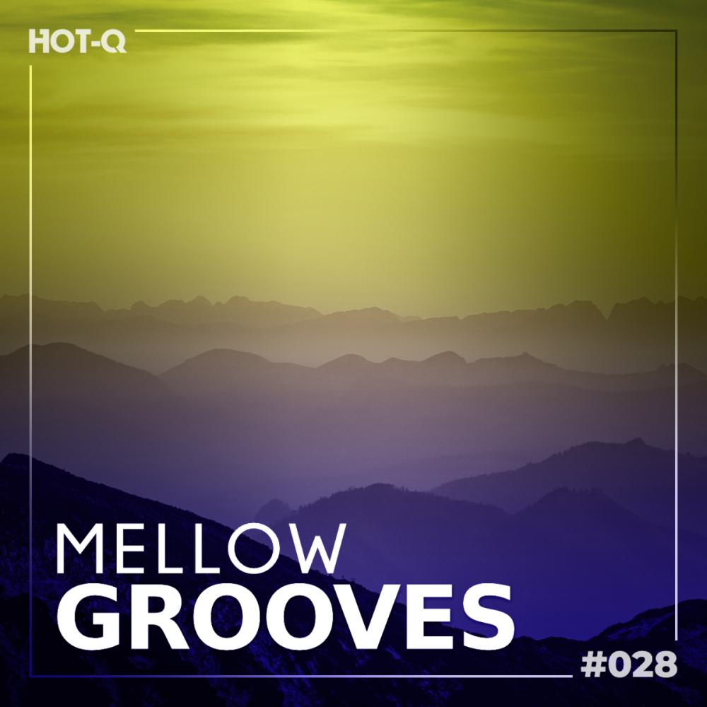 Постер альбома Mellow Grooves 028