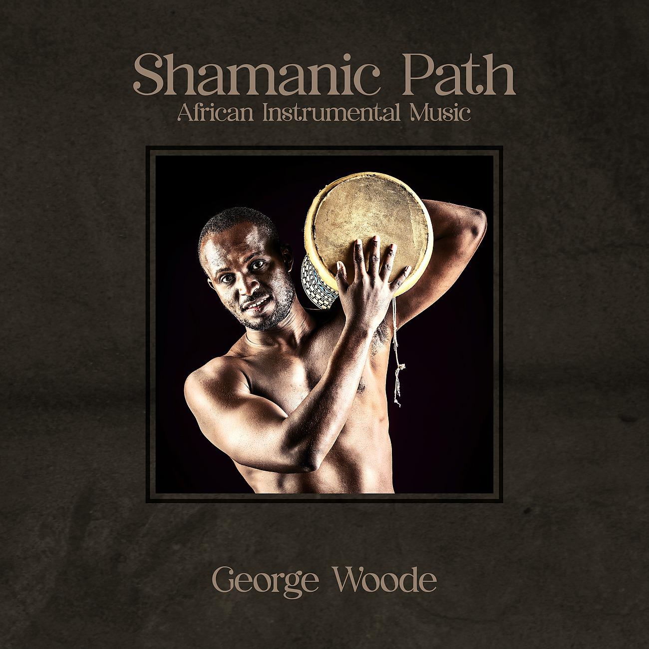 Постер альбома Shamanic Path
