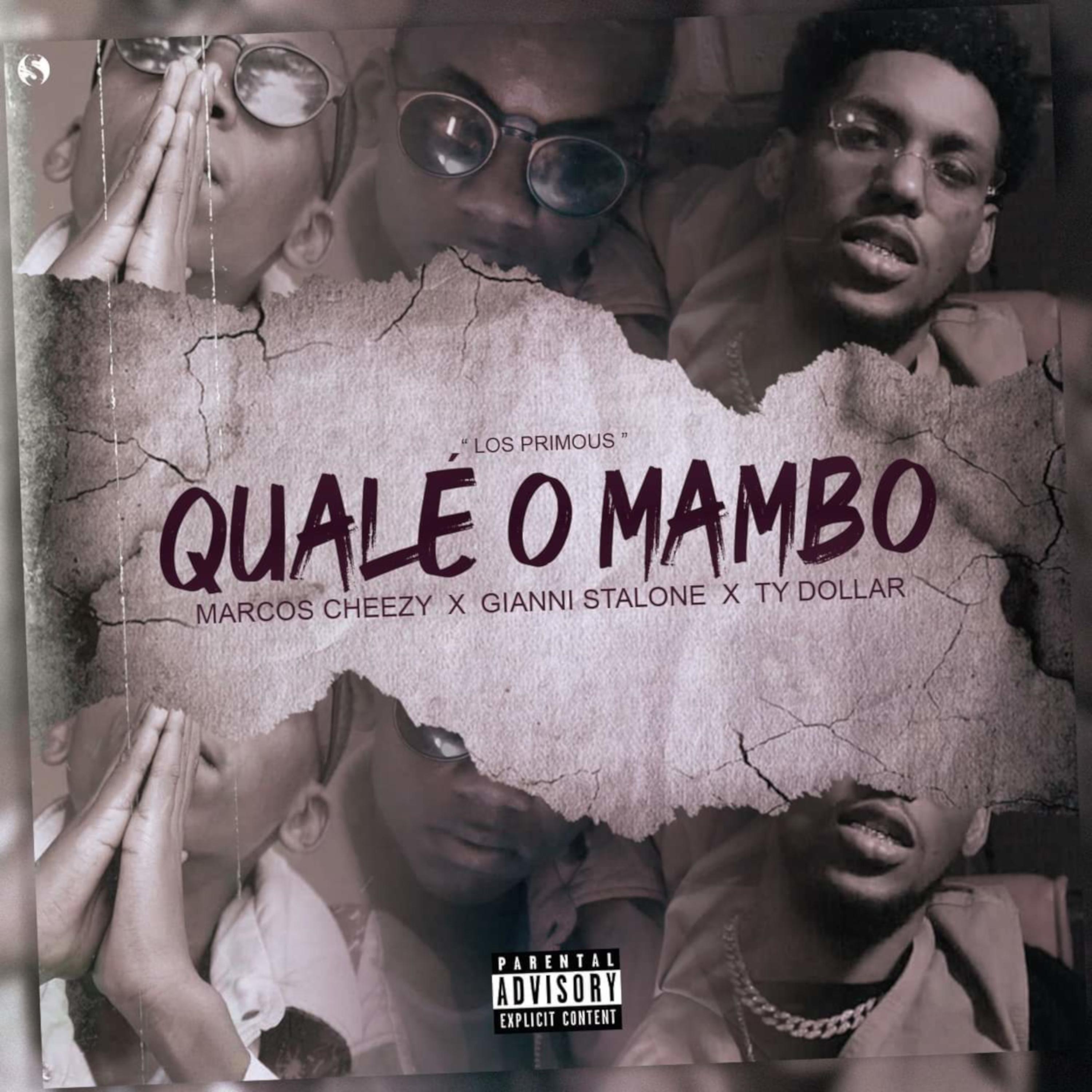 Постер альбома Qual É o Mambo